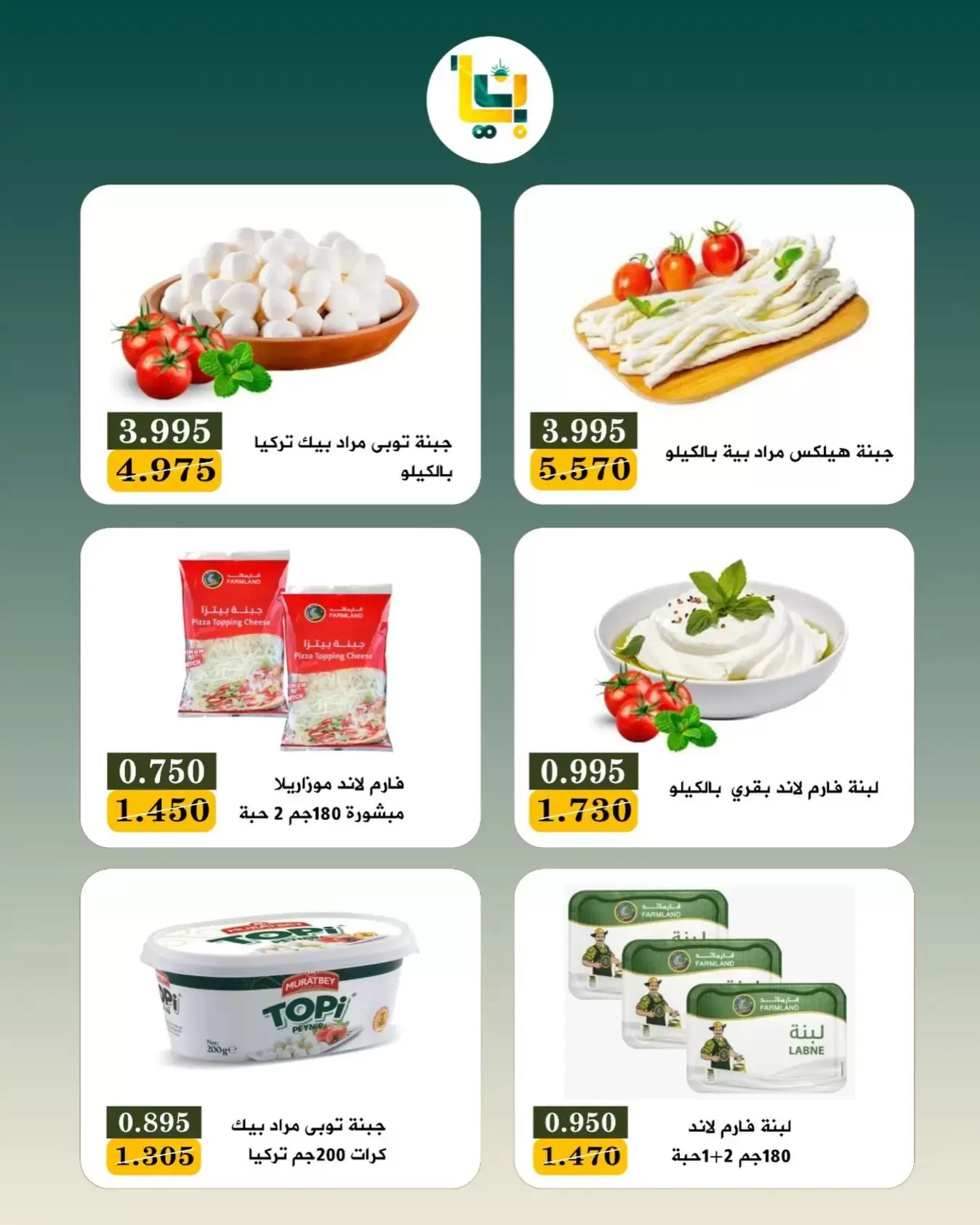 صفحة 5