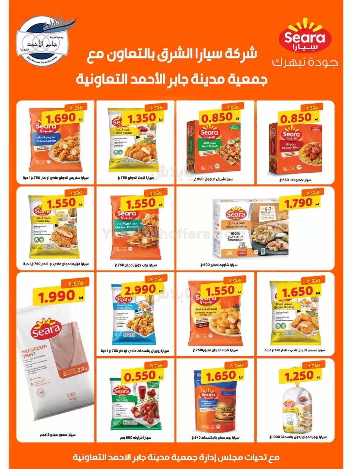 صفحة 3