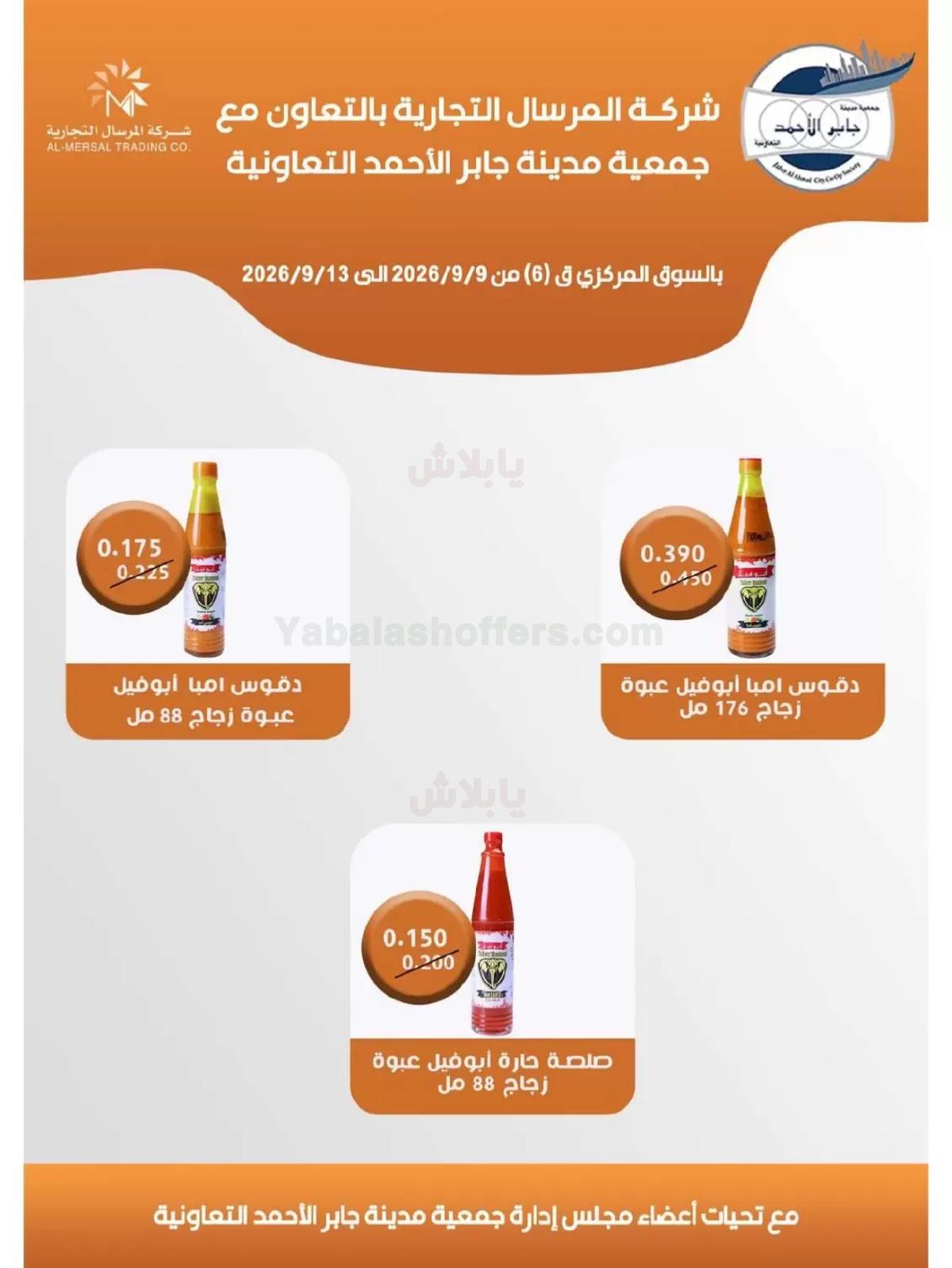 صفحة 17
