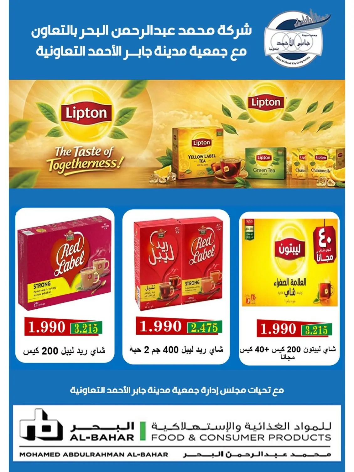صفحة 11
