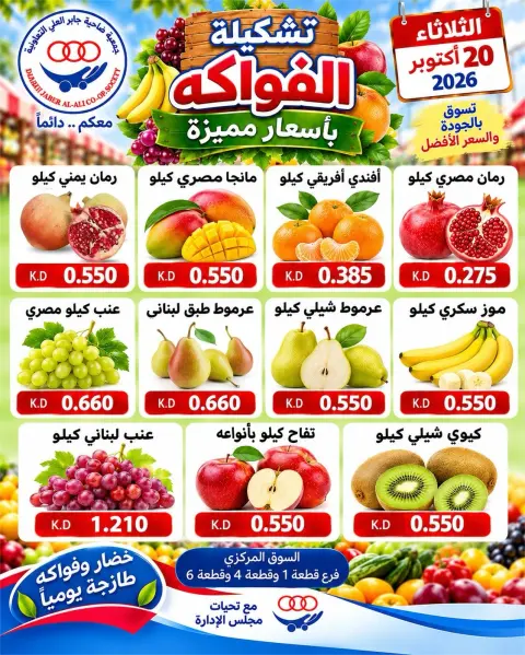 صفحة 2