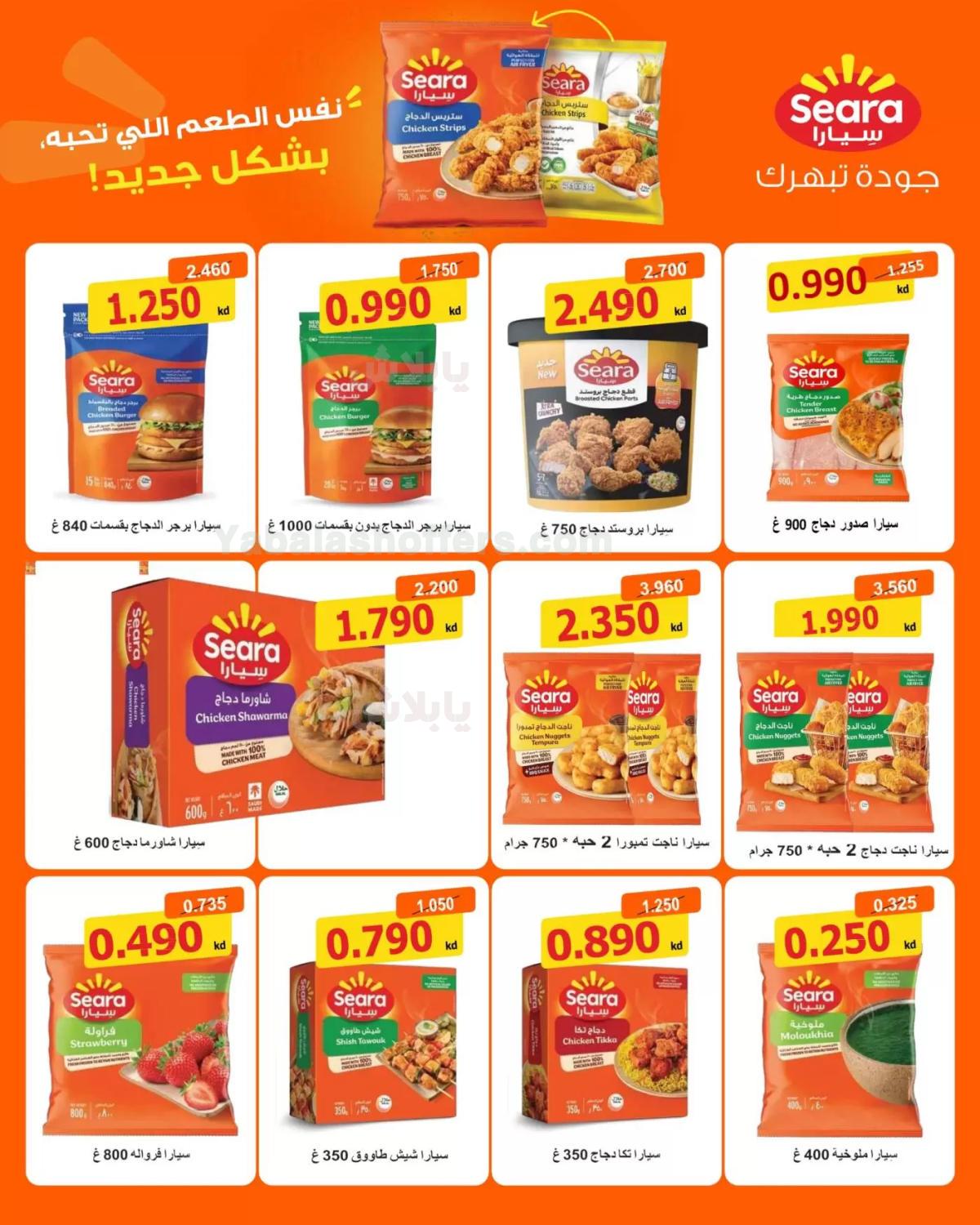 صفحة 3