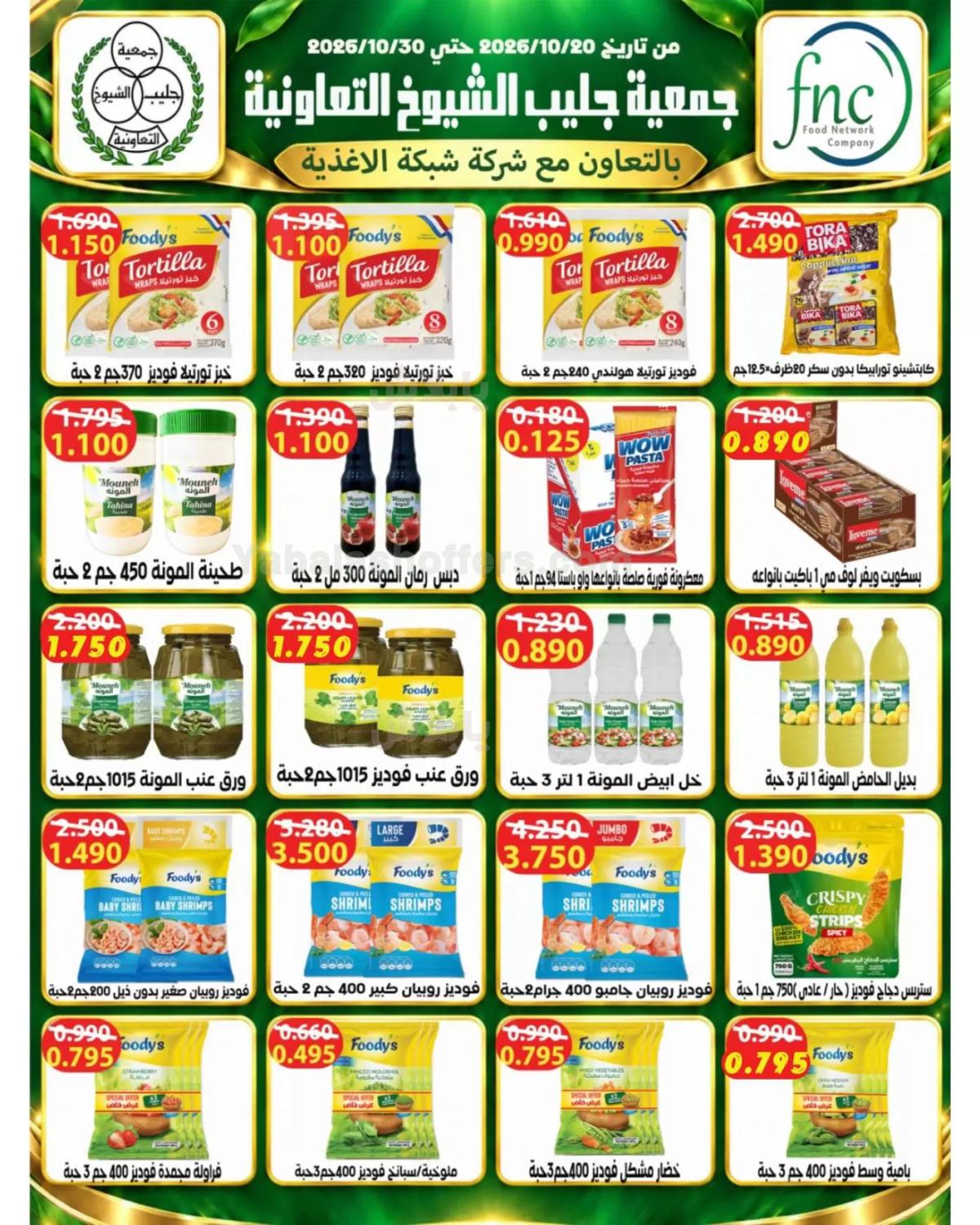 صفحة 11