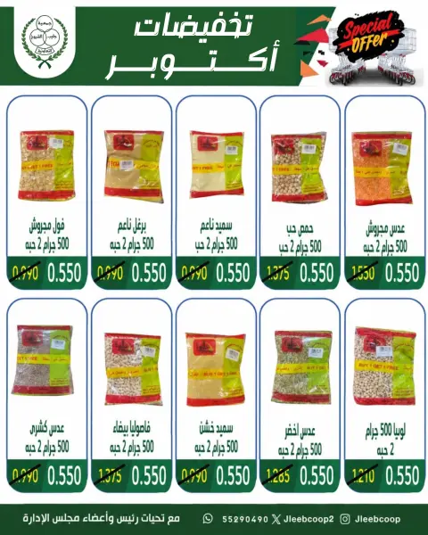 صفحة 21