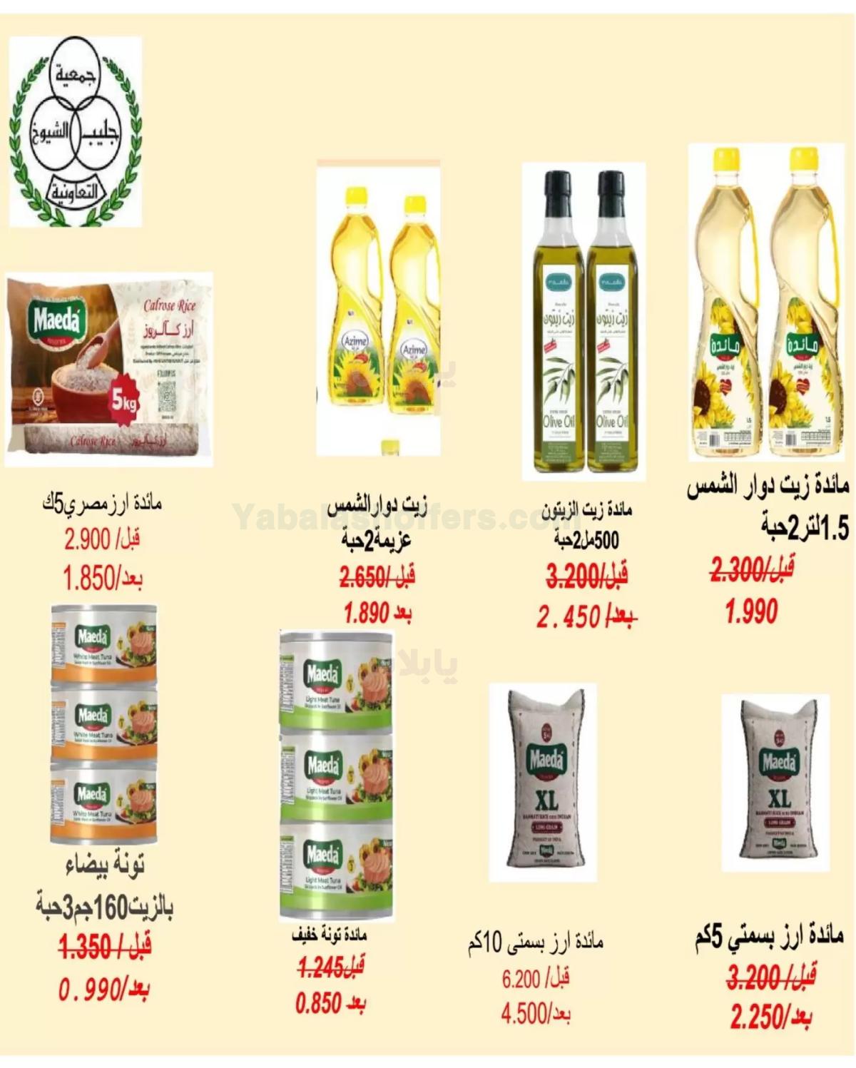 صفحة 12