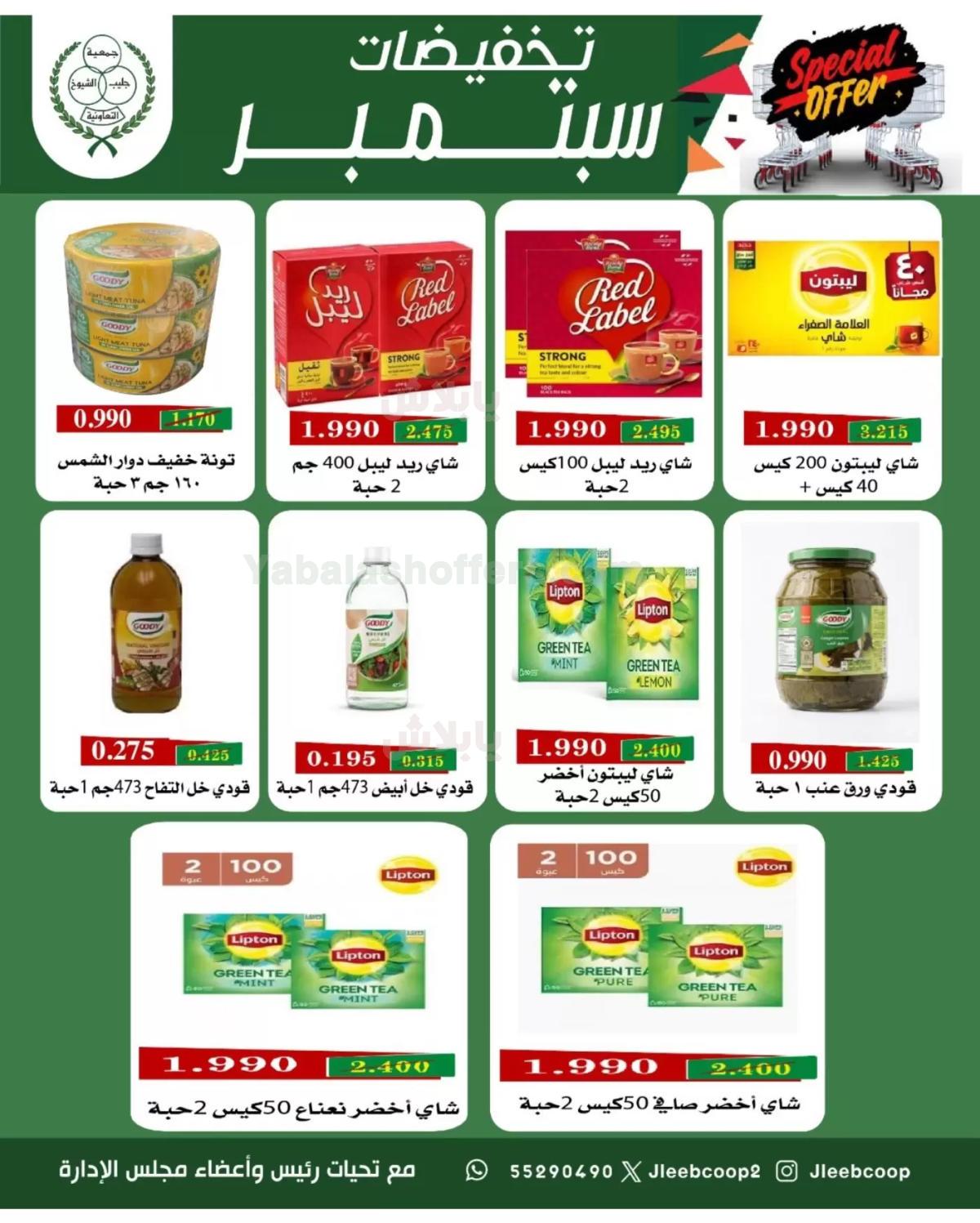 صفحة 17