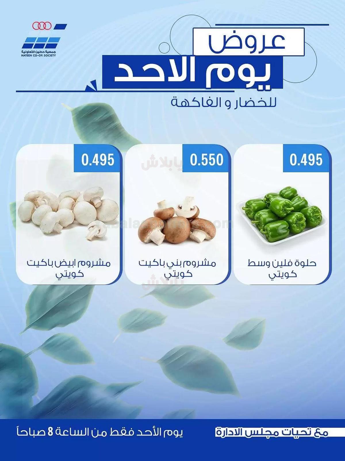 صفحة 3