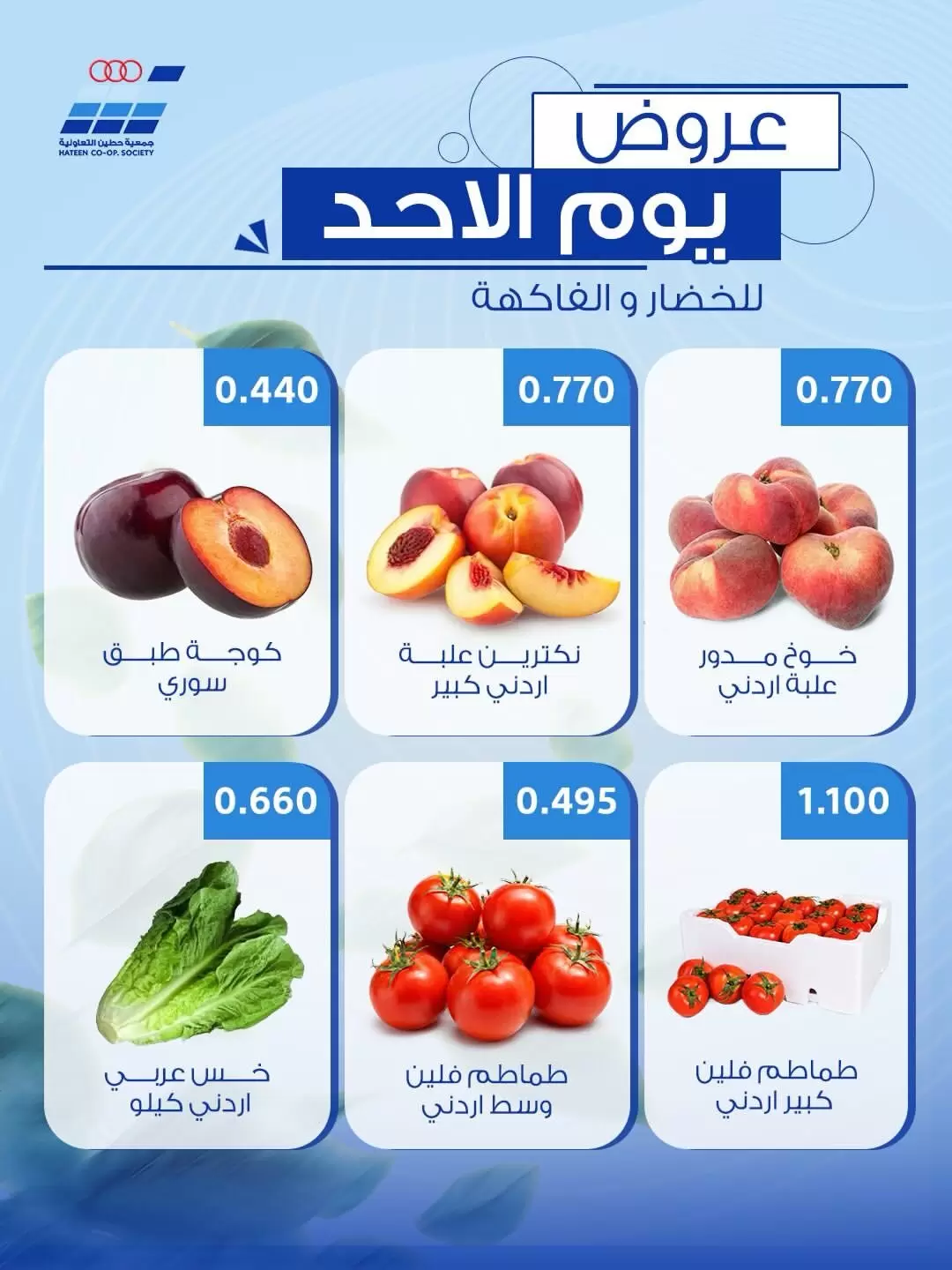 صفحة 6