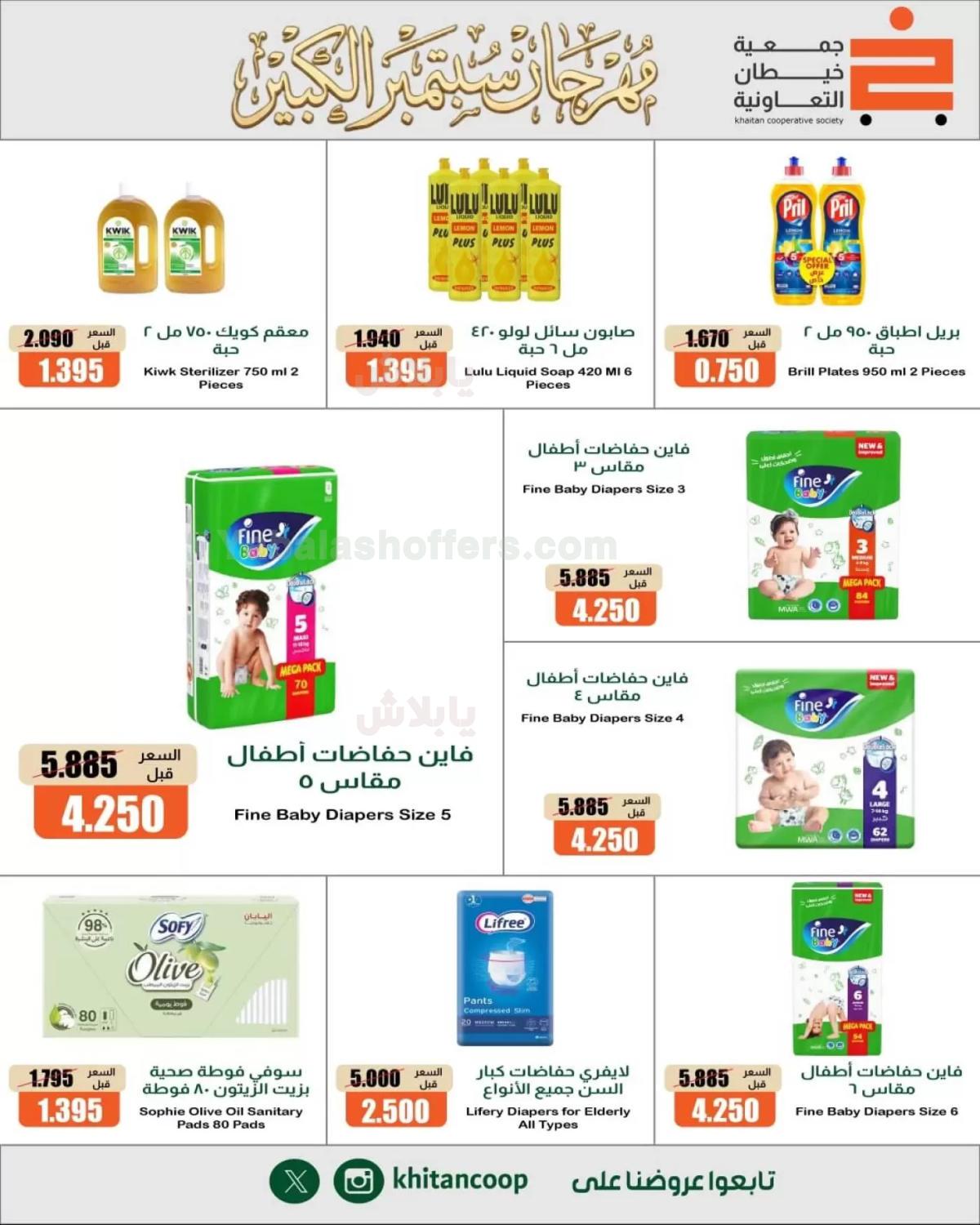 صفحة 17