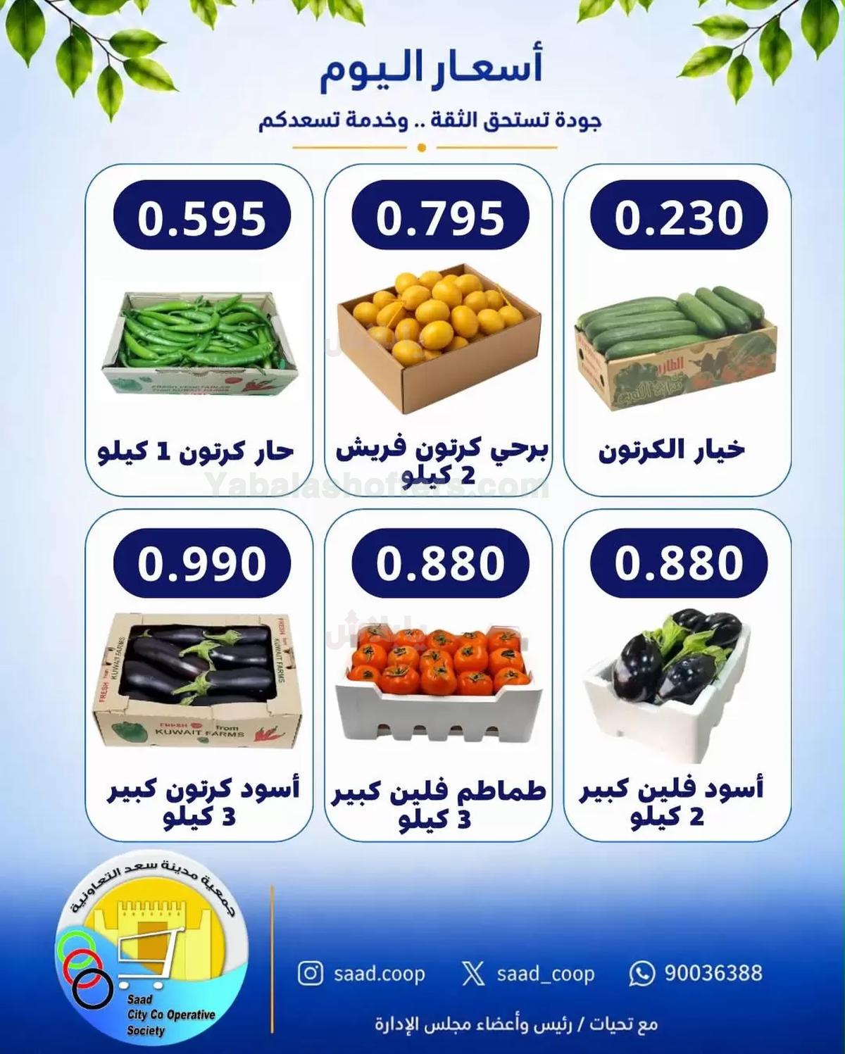 صفحة 2