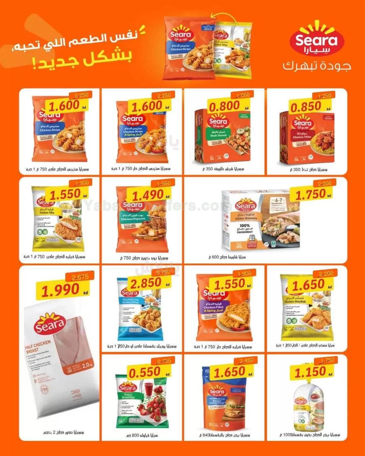 صفحة 3