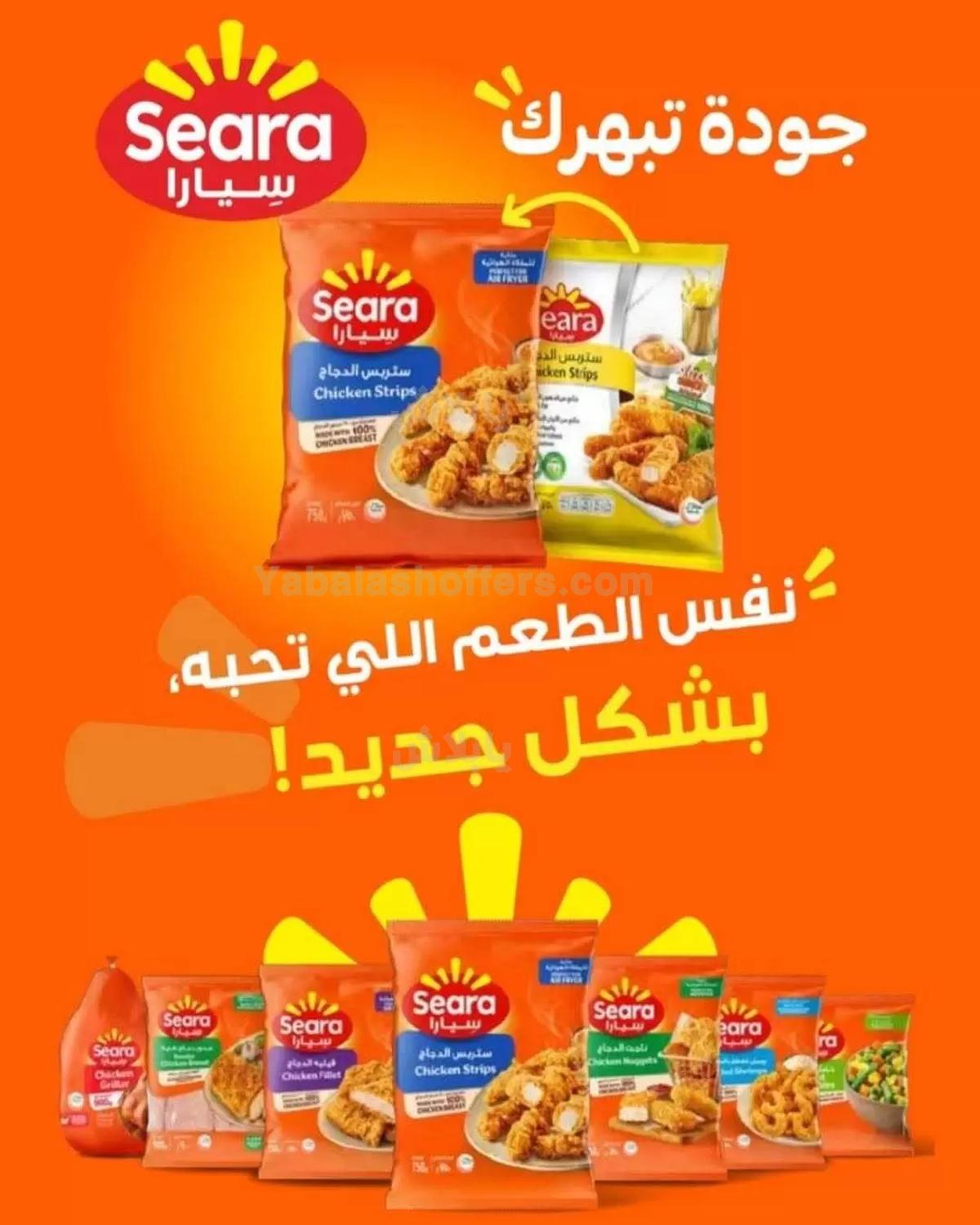 صفحة 4