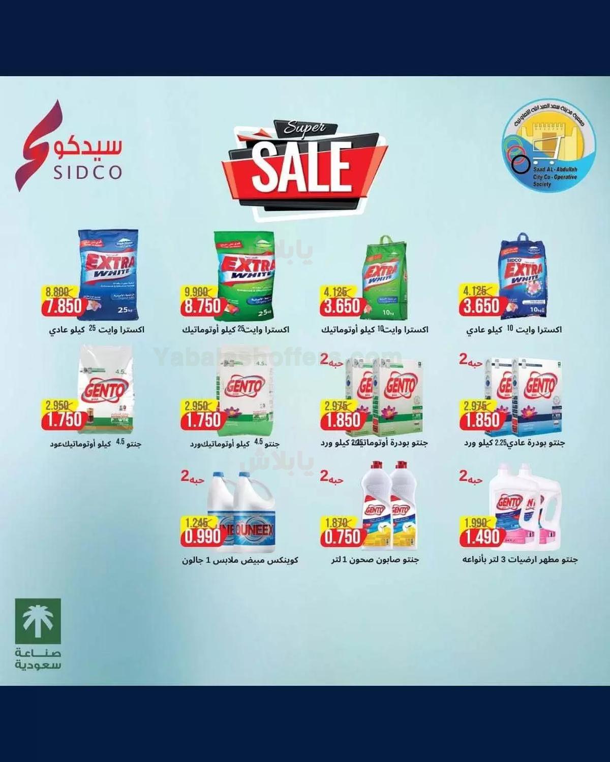 صفحة 22