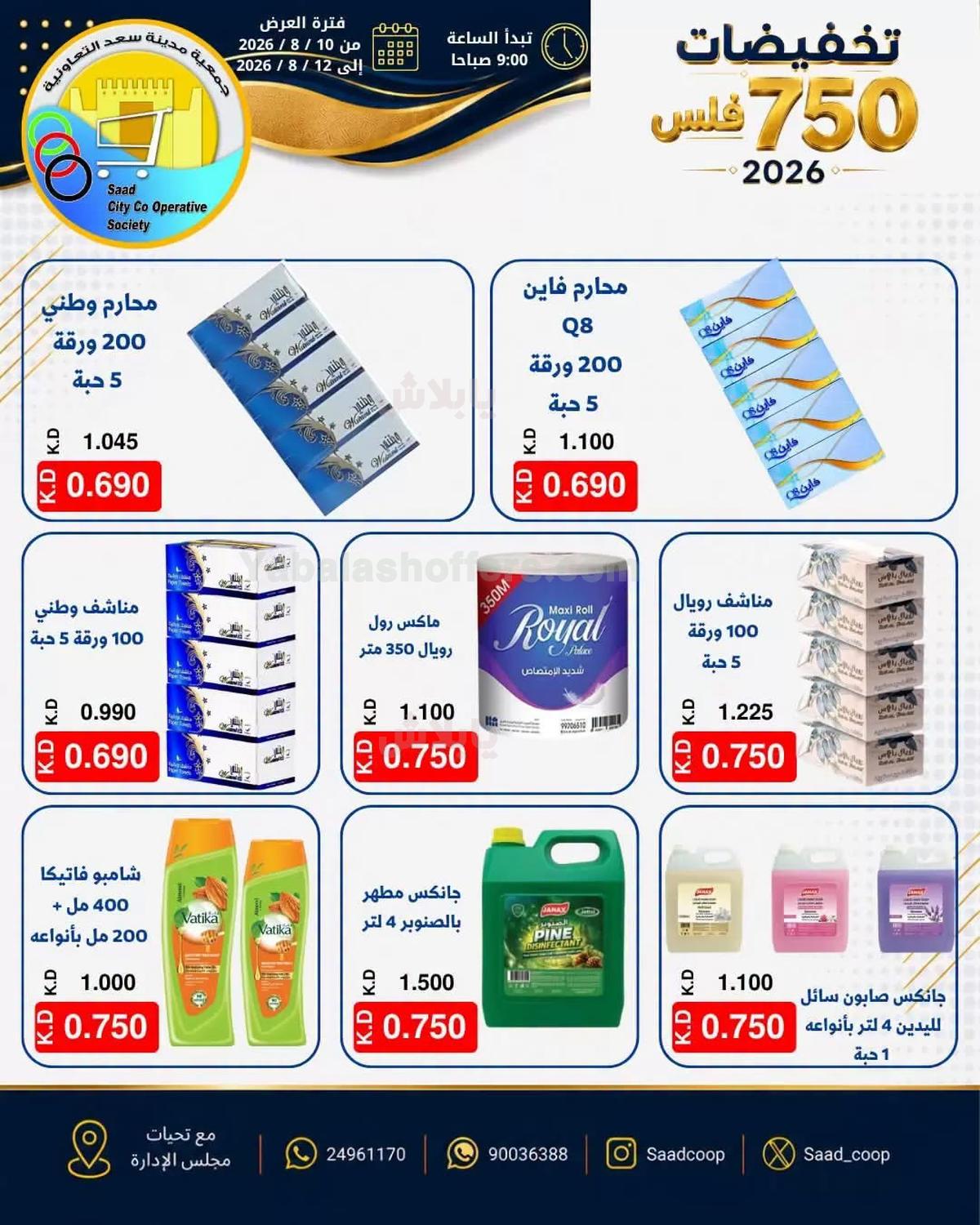 صفحة 13