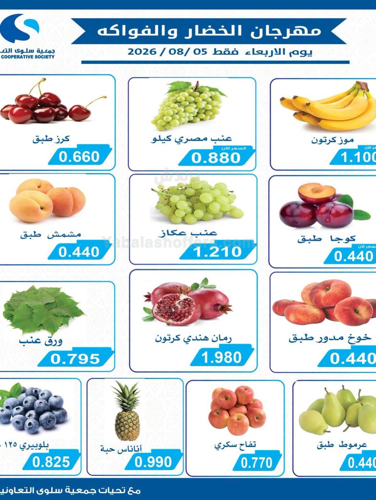 صفحة 3