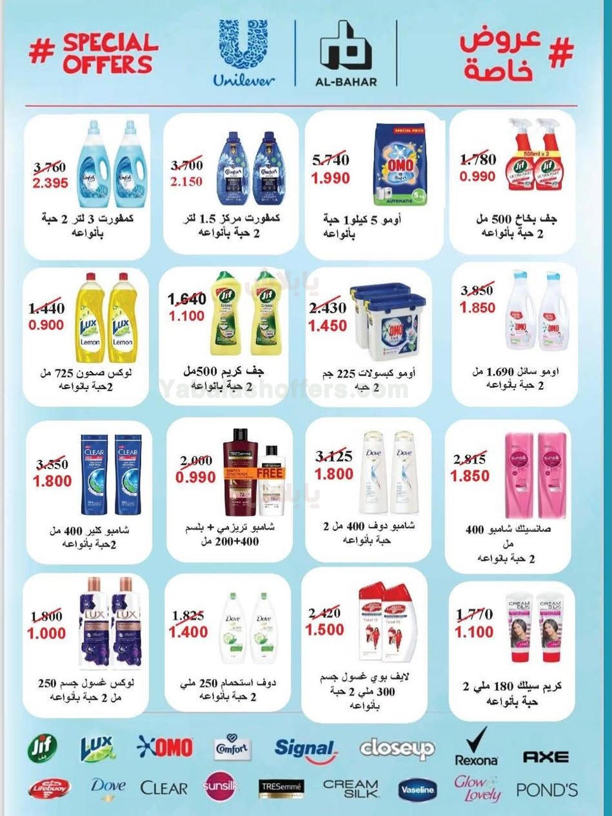 صفحة 17