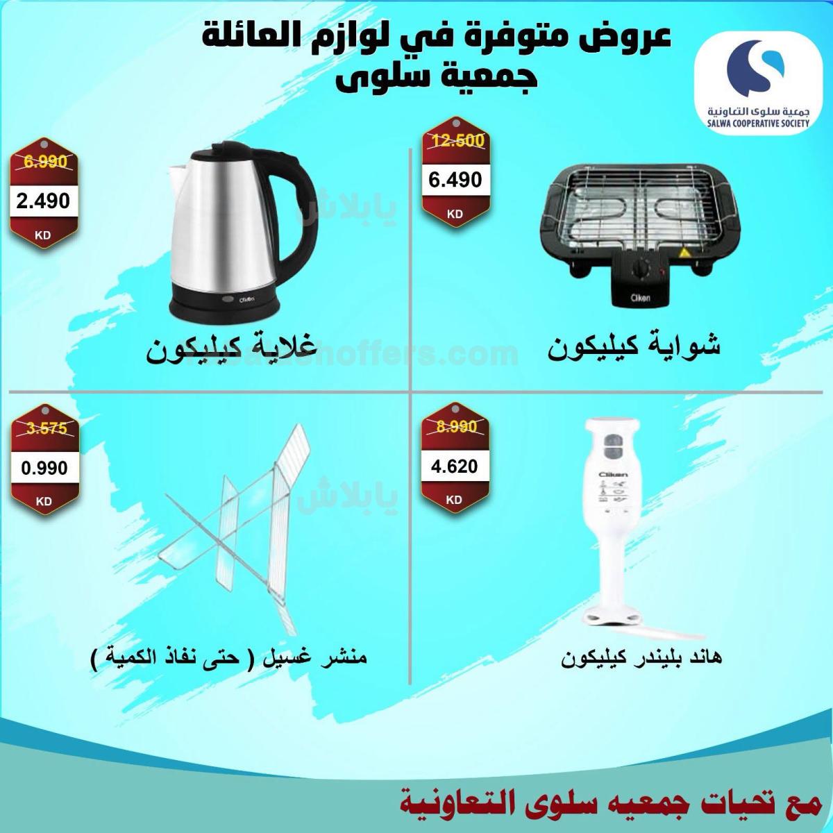 صفحة 13