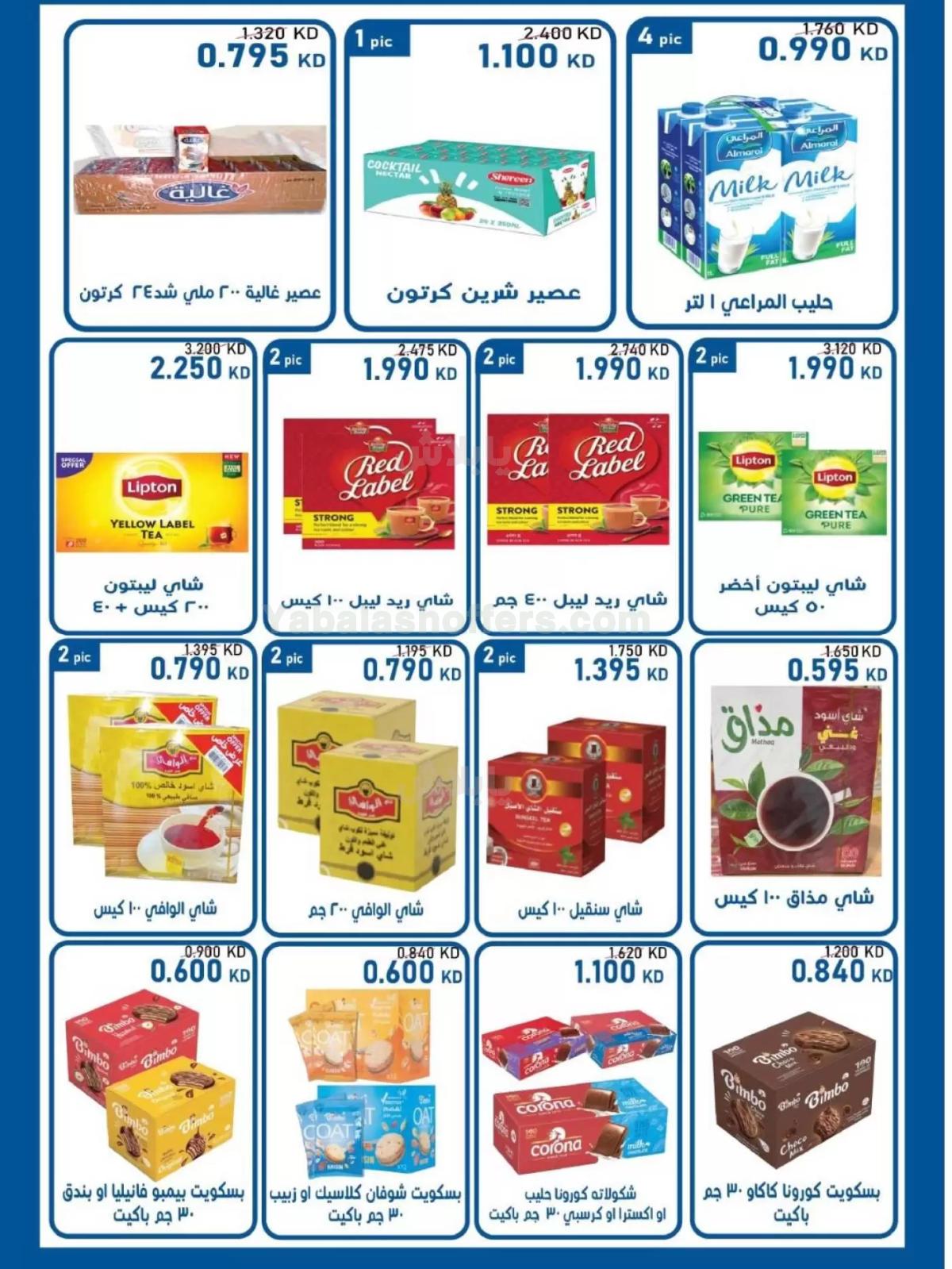صفحة 17