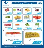 صفحة 5
