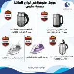 صفحة 13