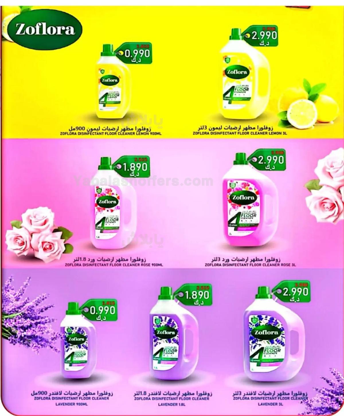 صفحة 15