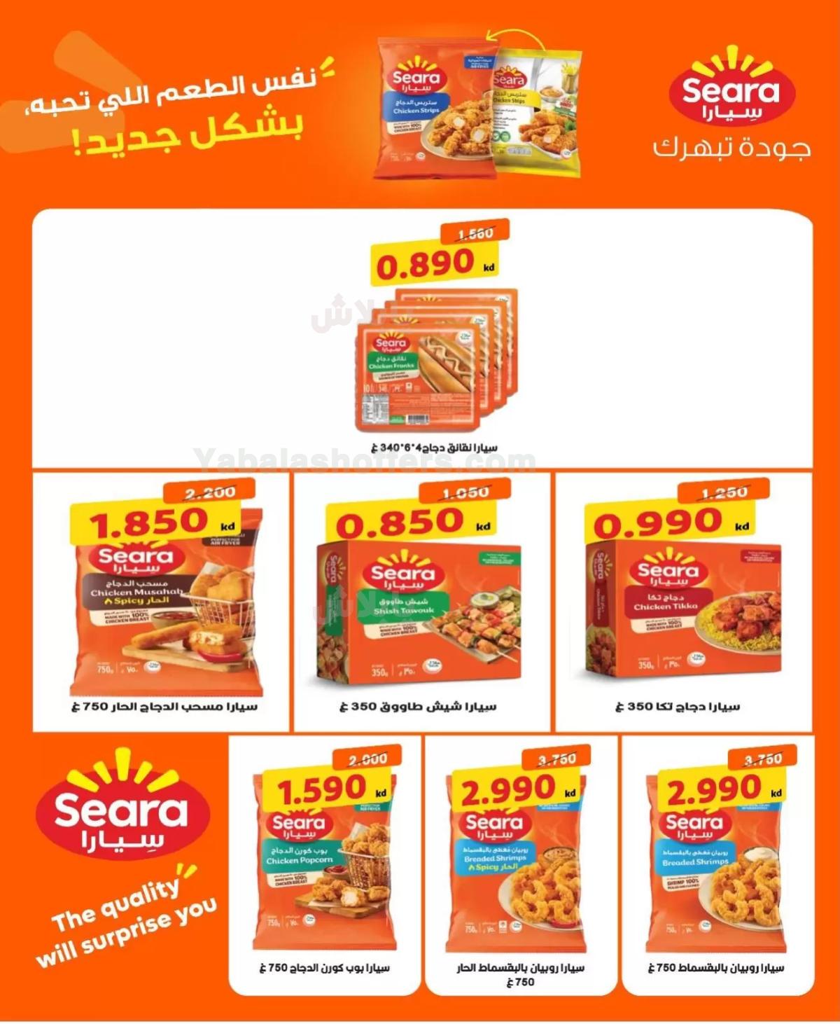 صفحة 3
