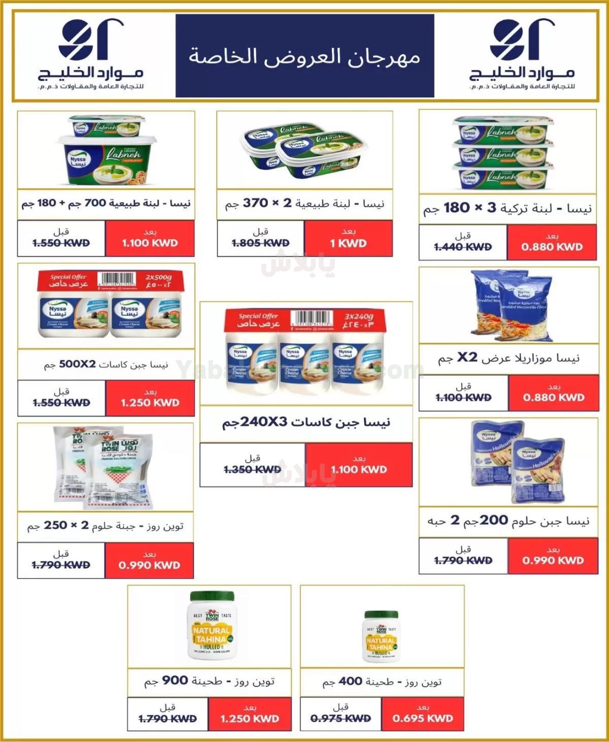 صفحة 17