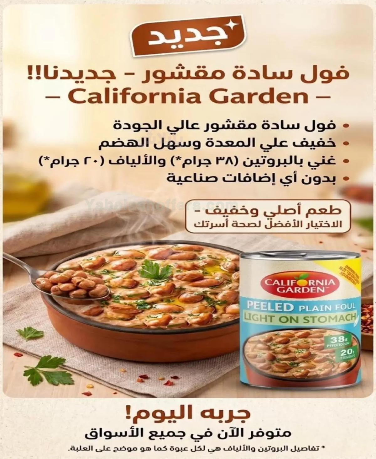 صفحة 31