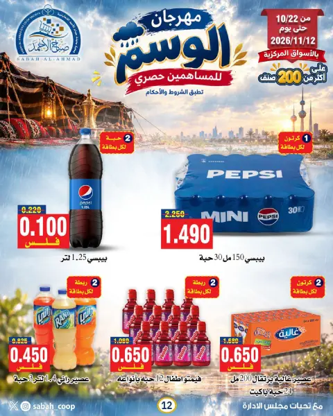 صفحة 13