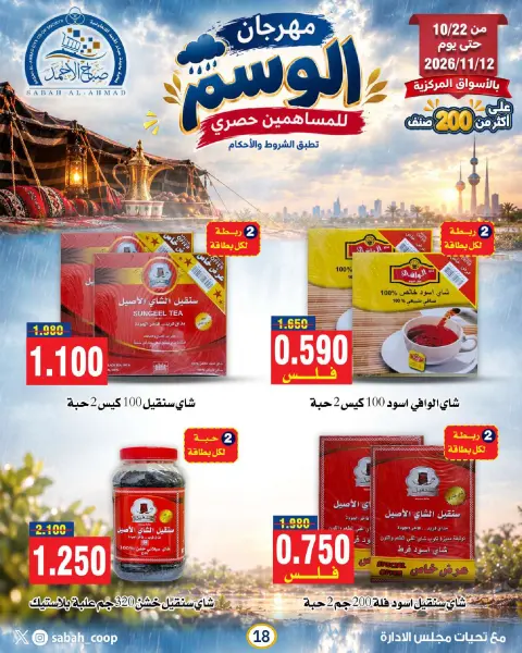صفحة 19