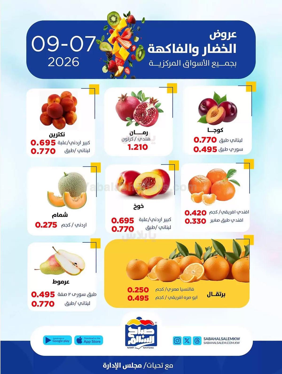 صفحة 4