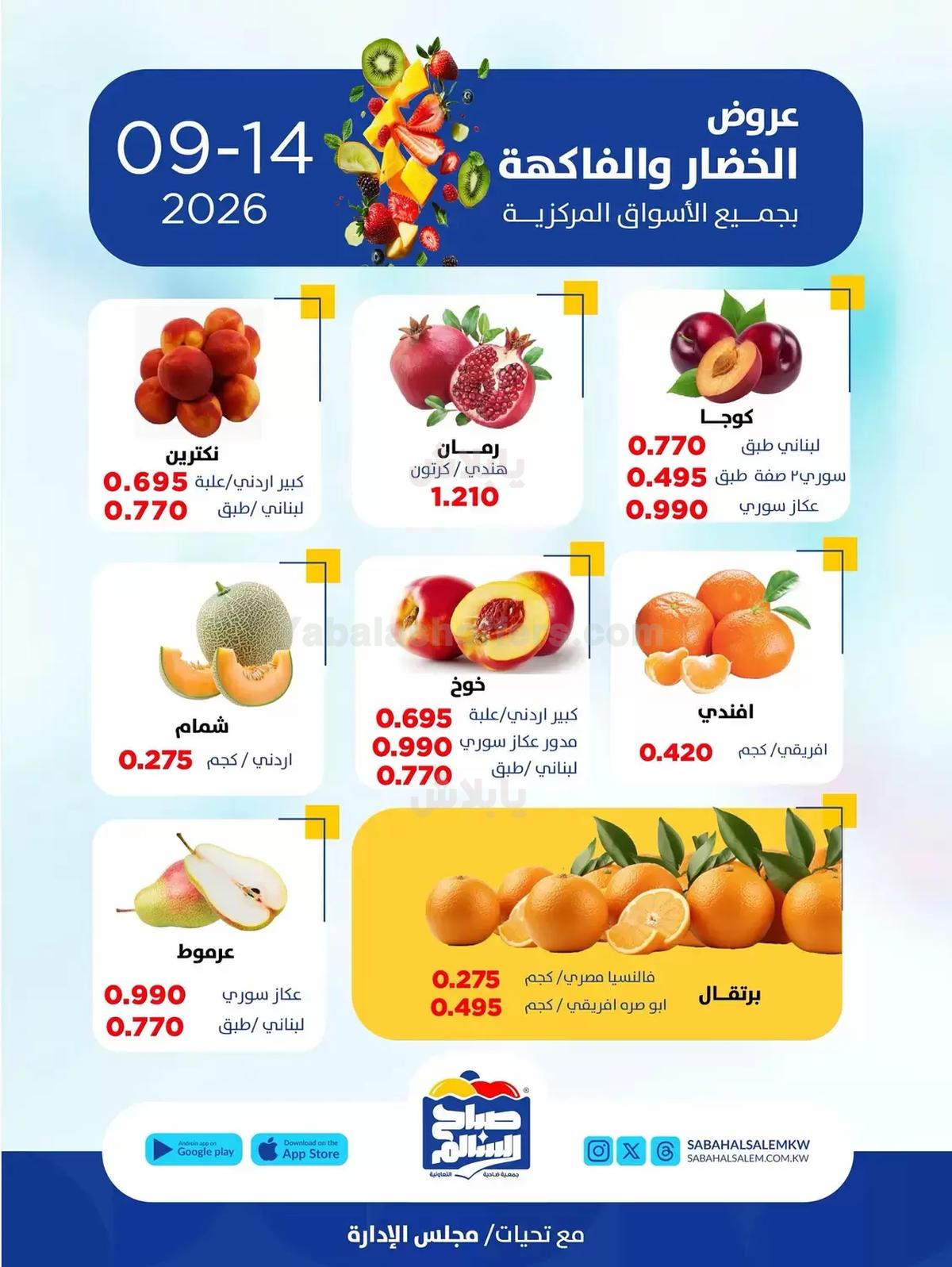 صفحة 4