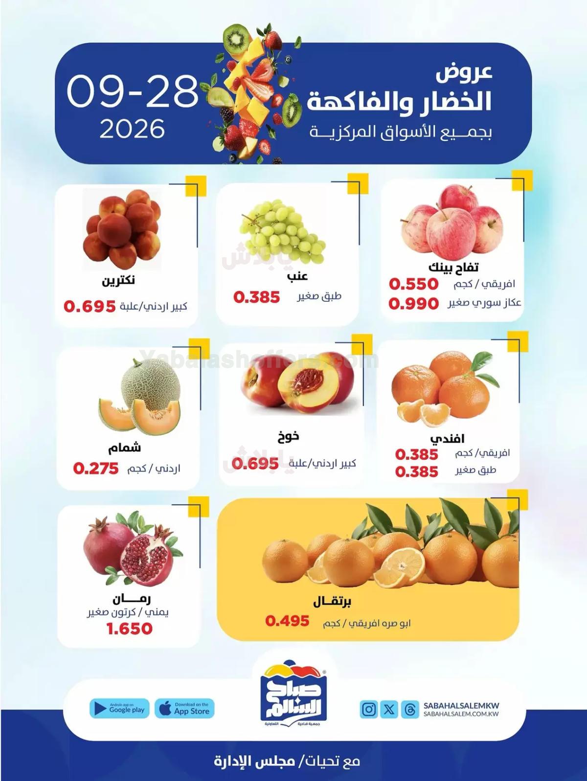 صفحة 4
