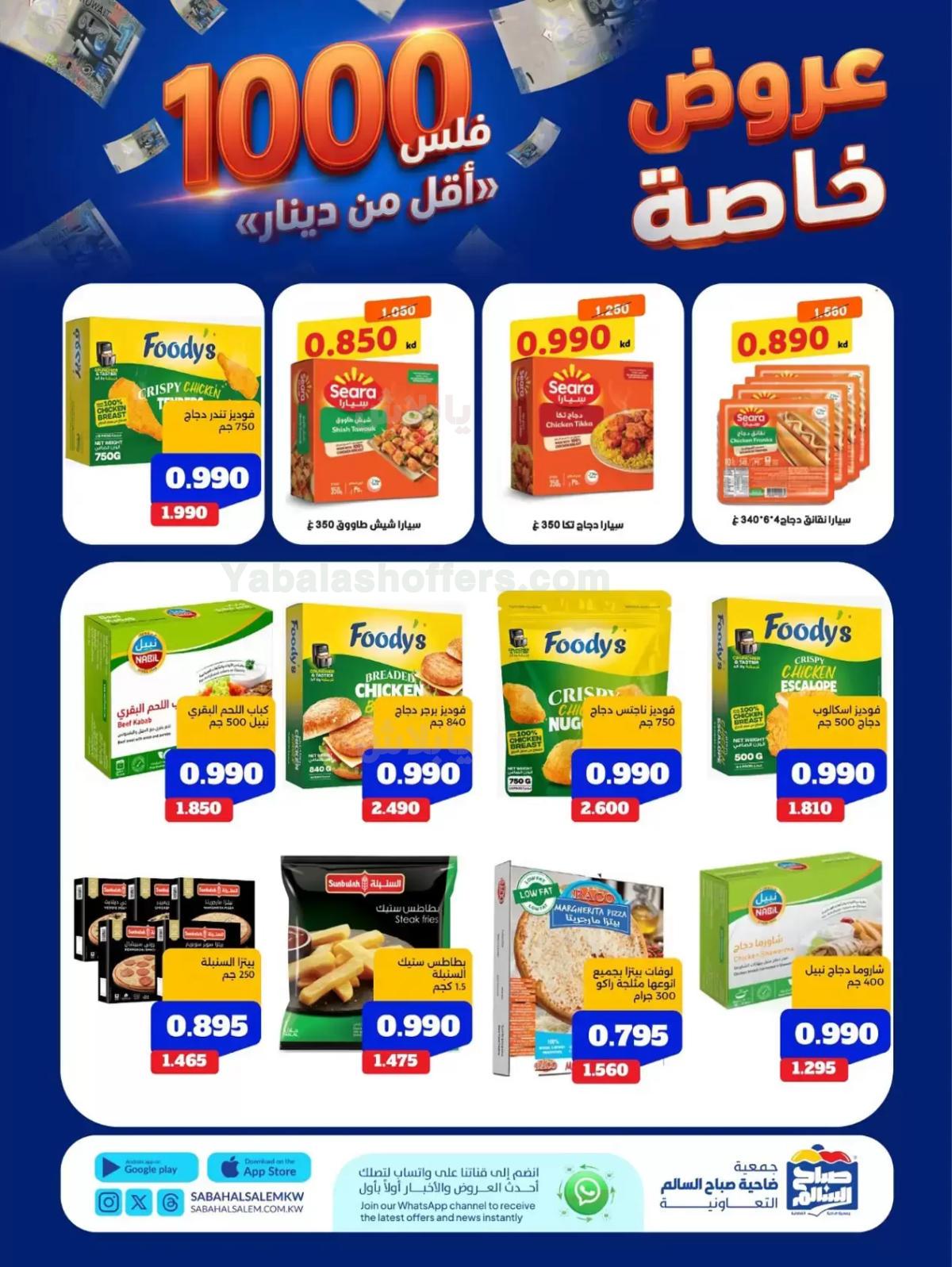 صفحة 2