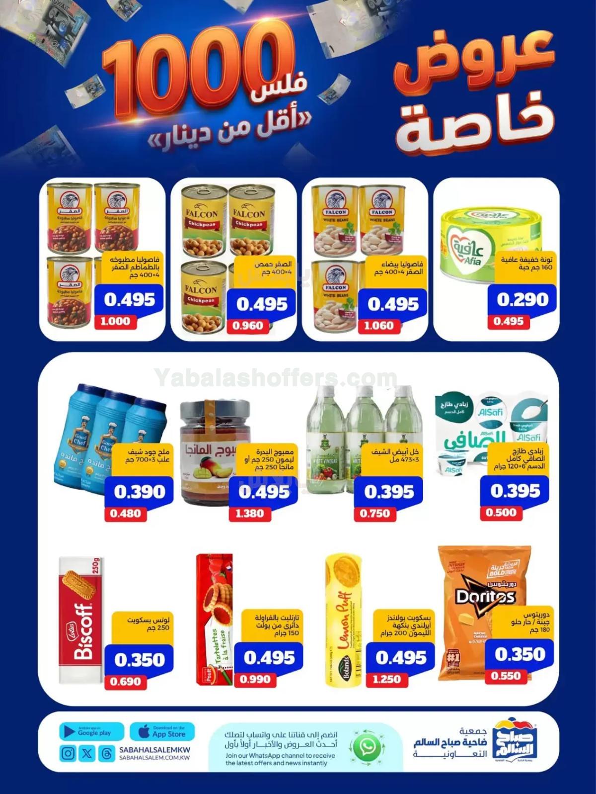 صفحة 3