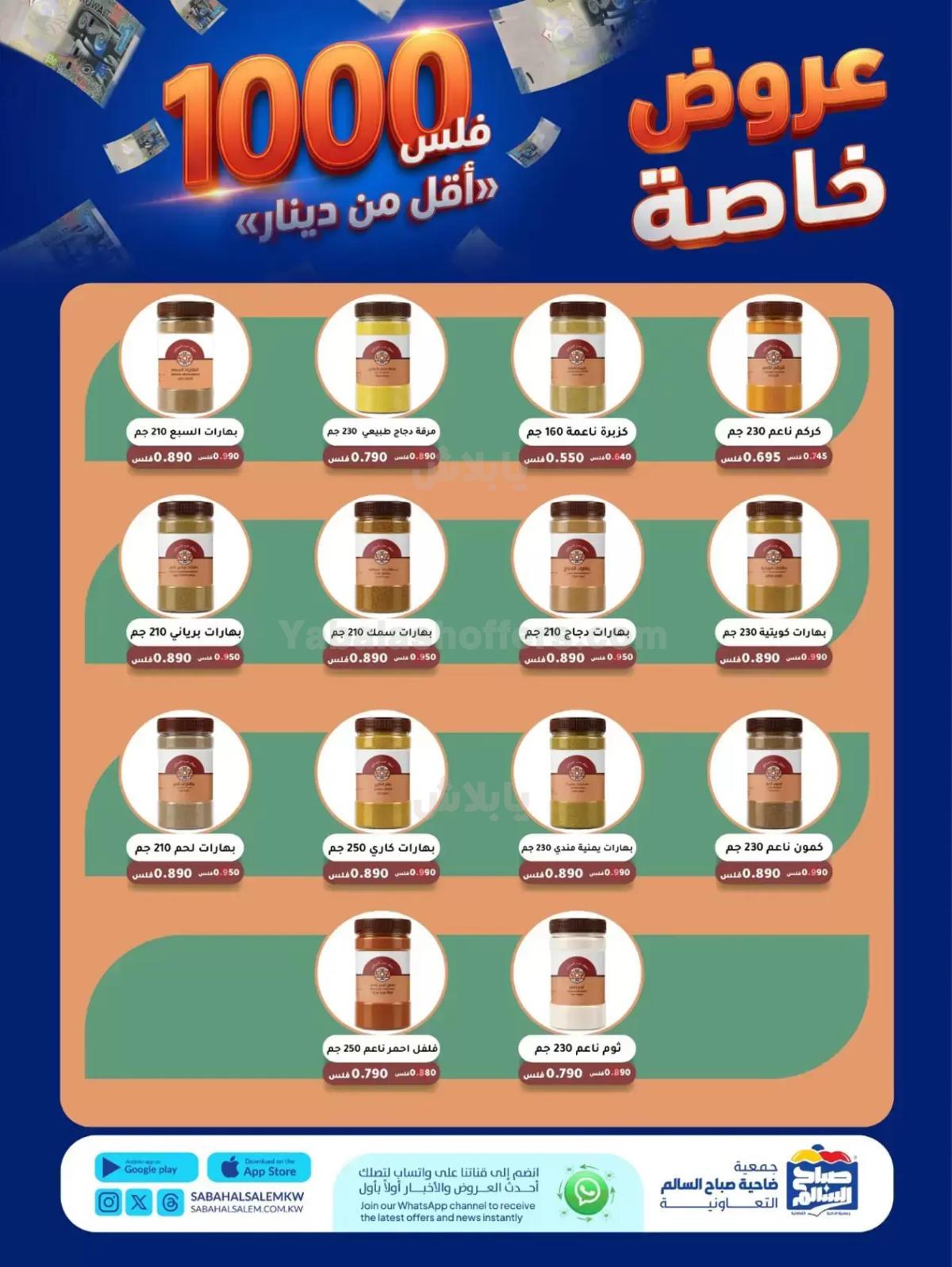 صفحة 11