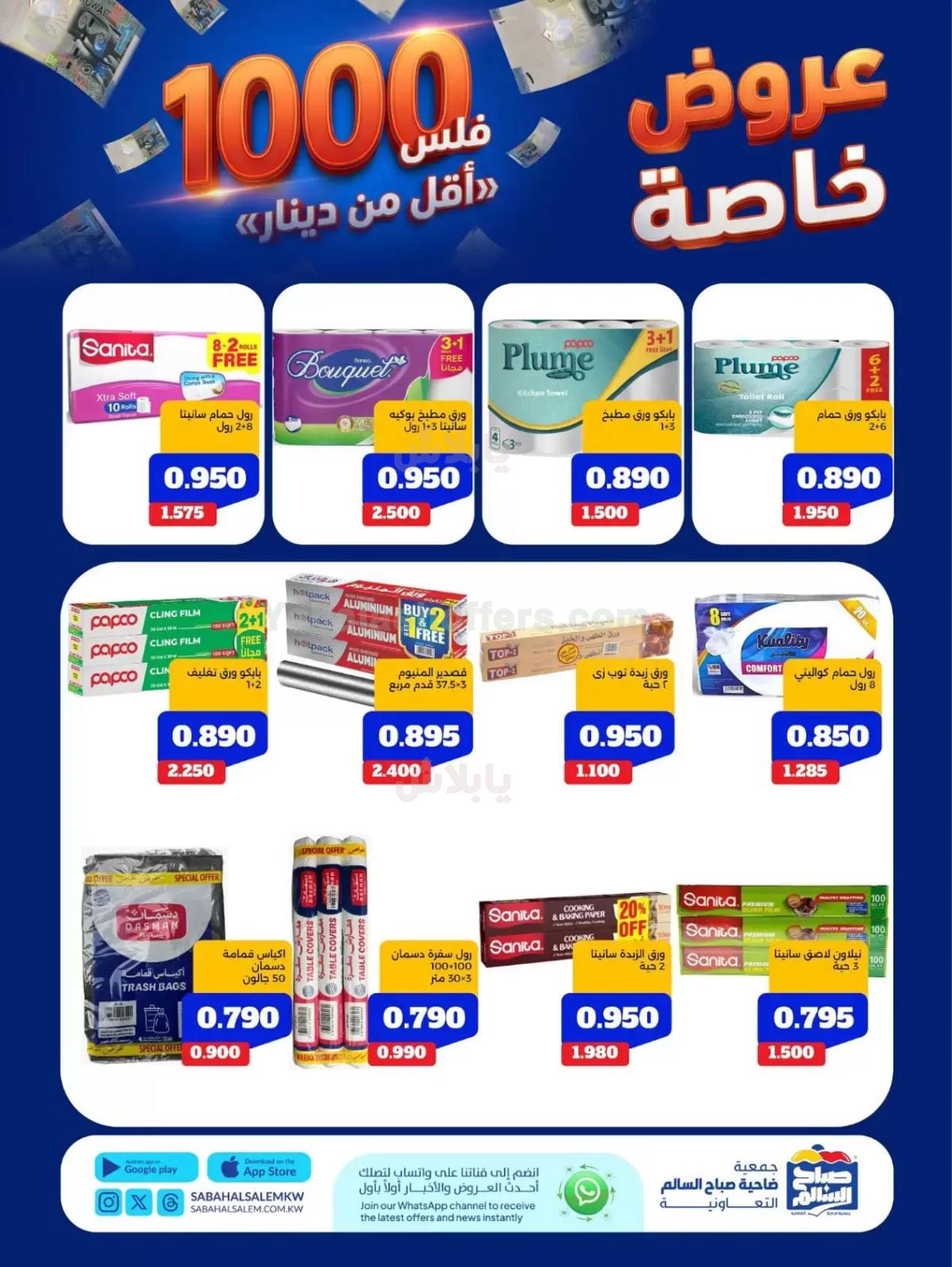 صفحة 13