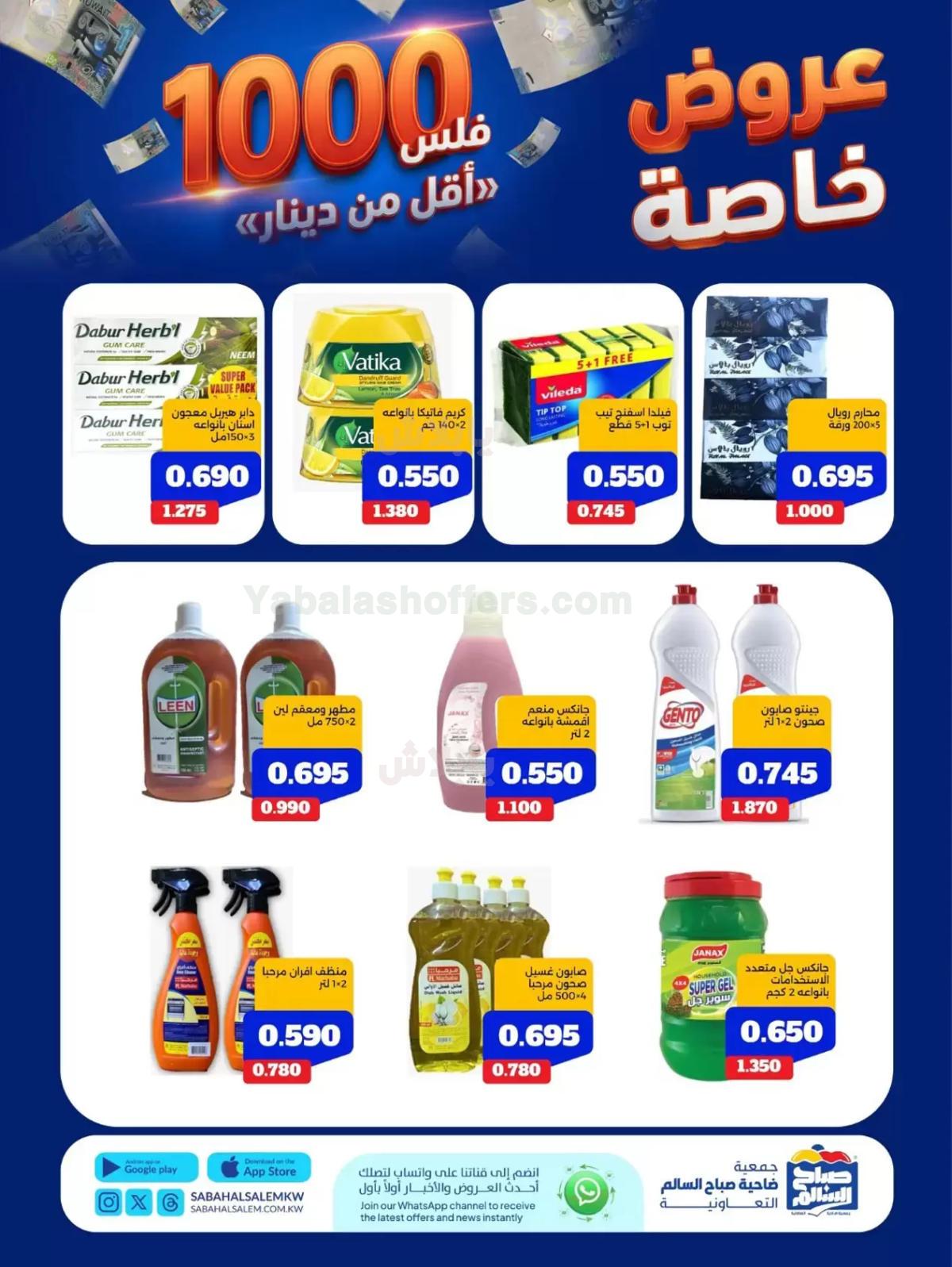 صفحة 17