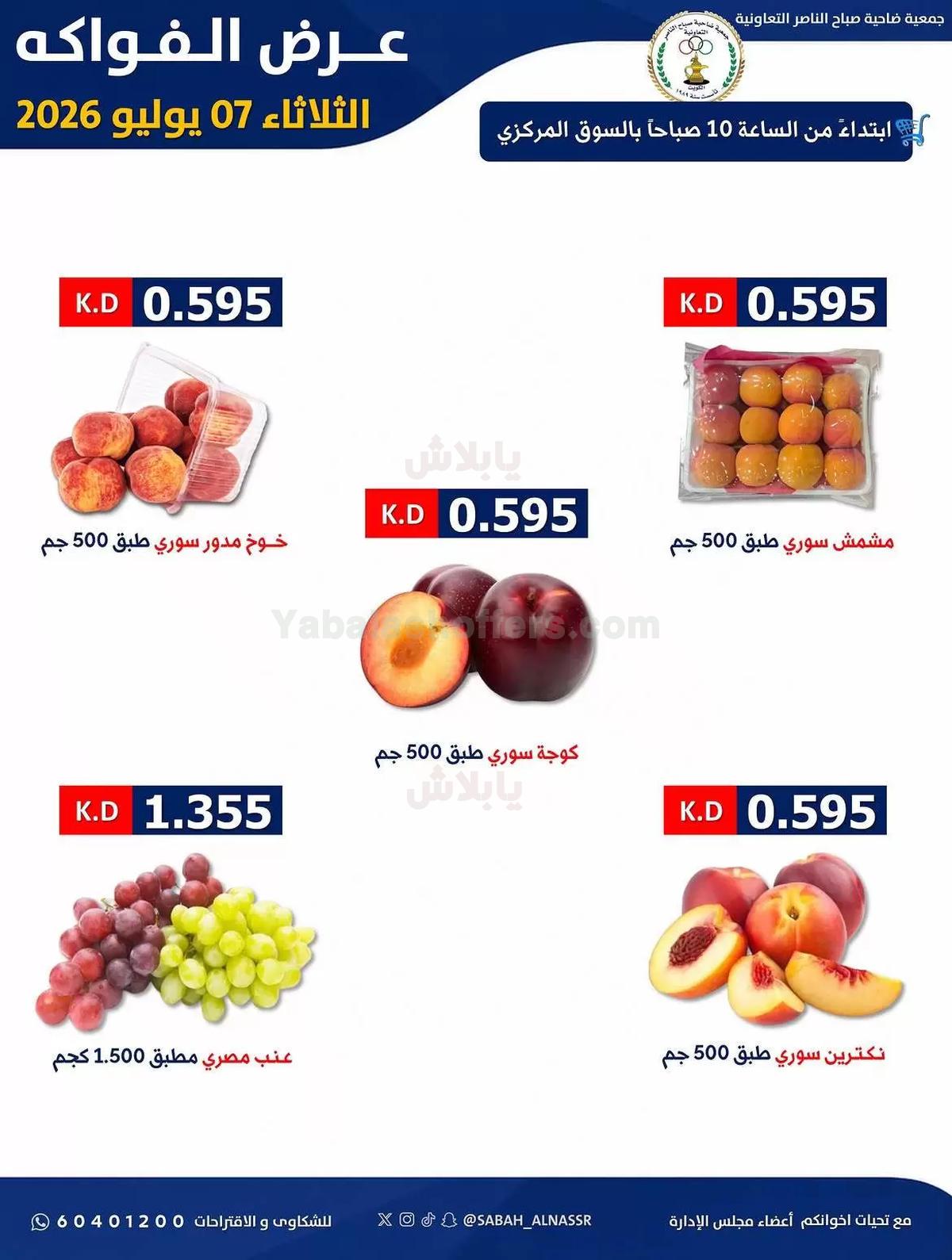 صفحة 4