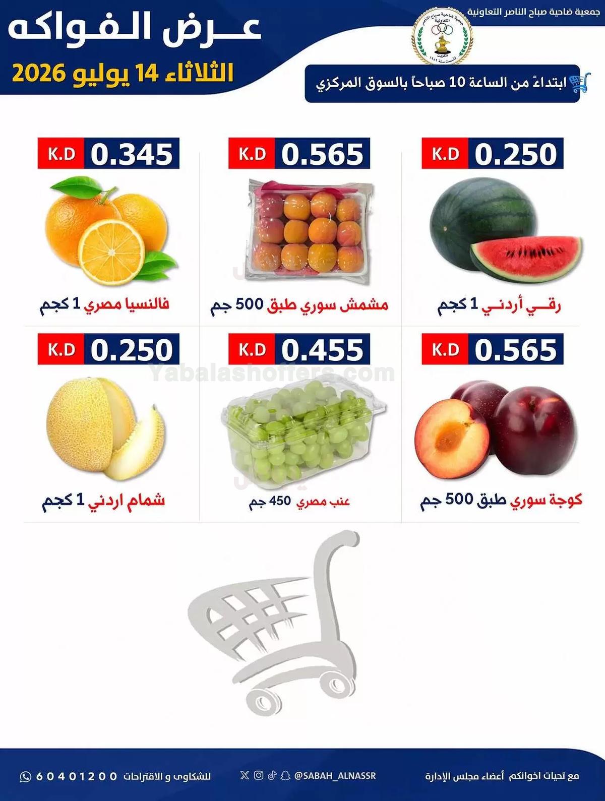 صفحة 4