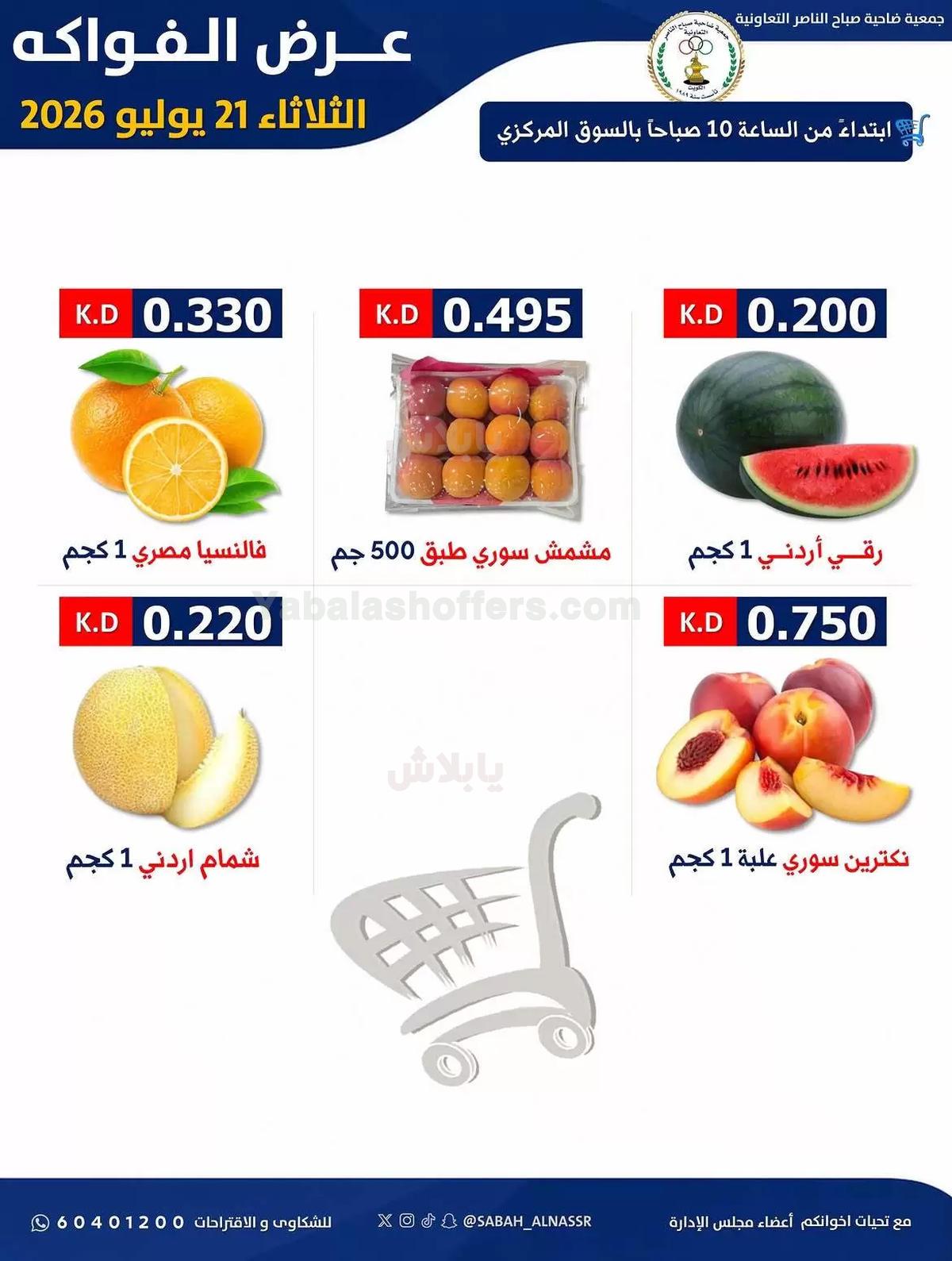 صفحة 4