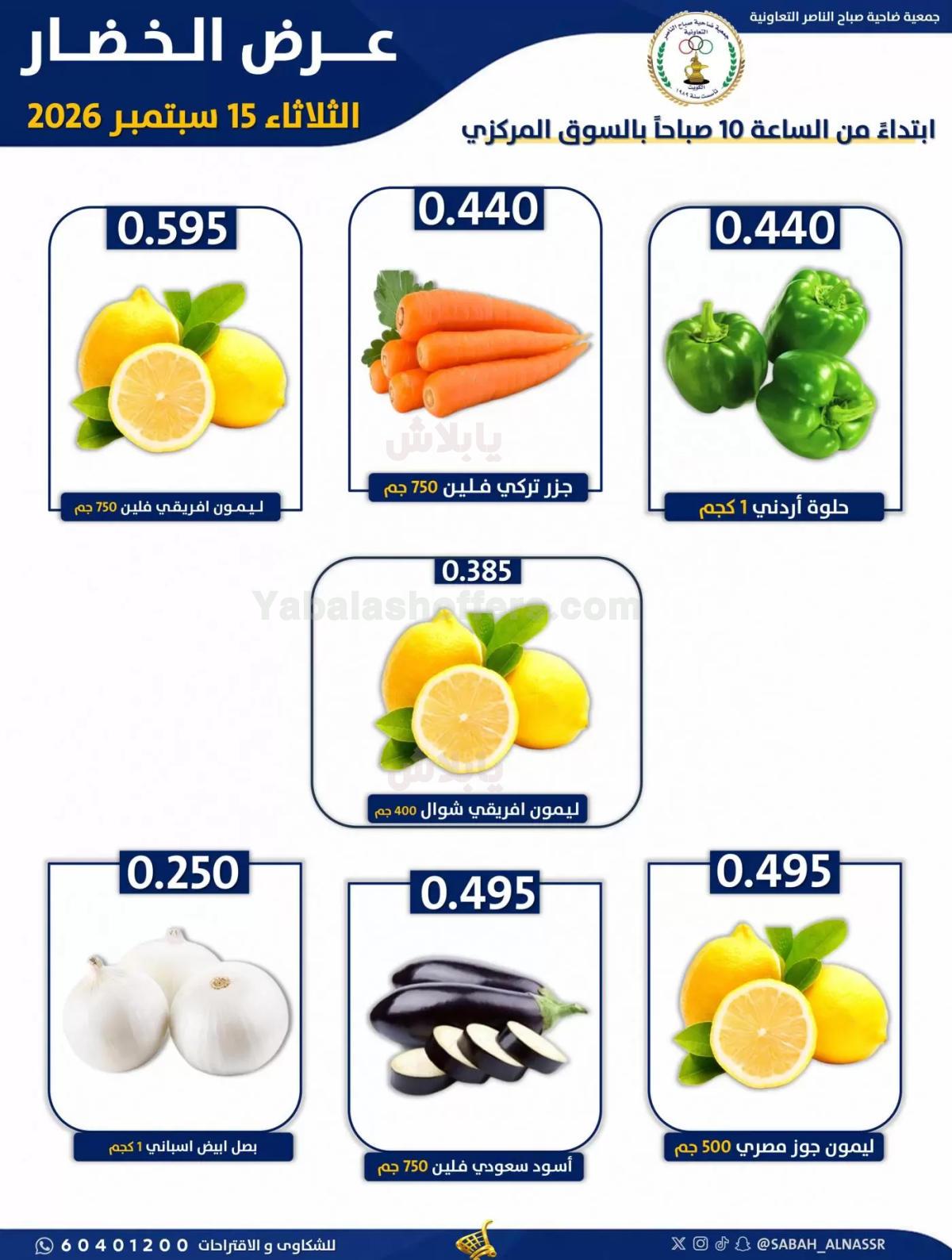 صفحة 3