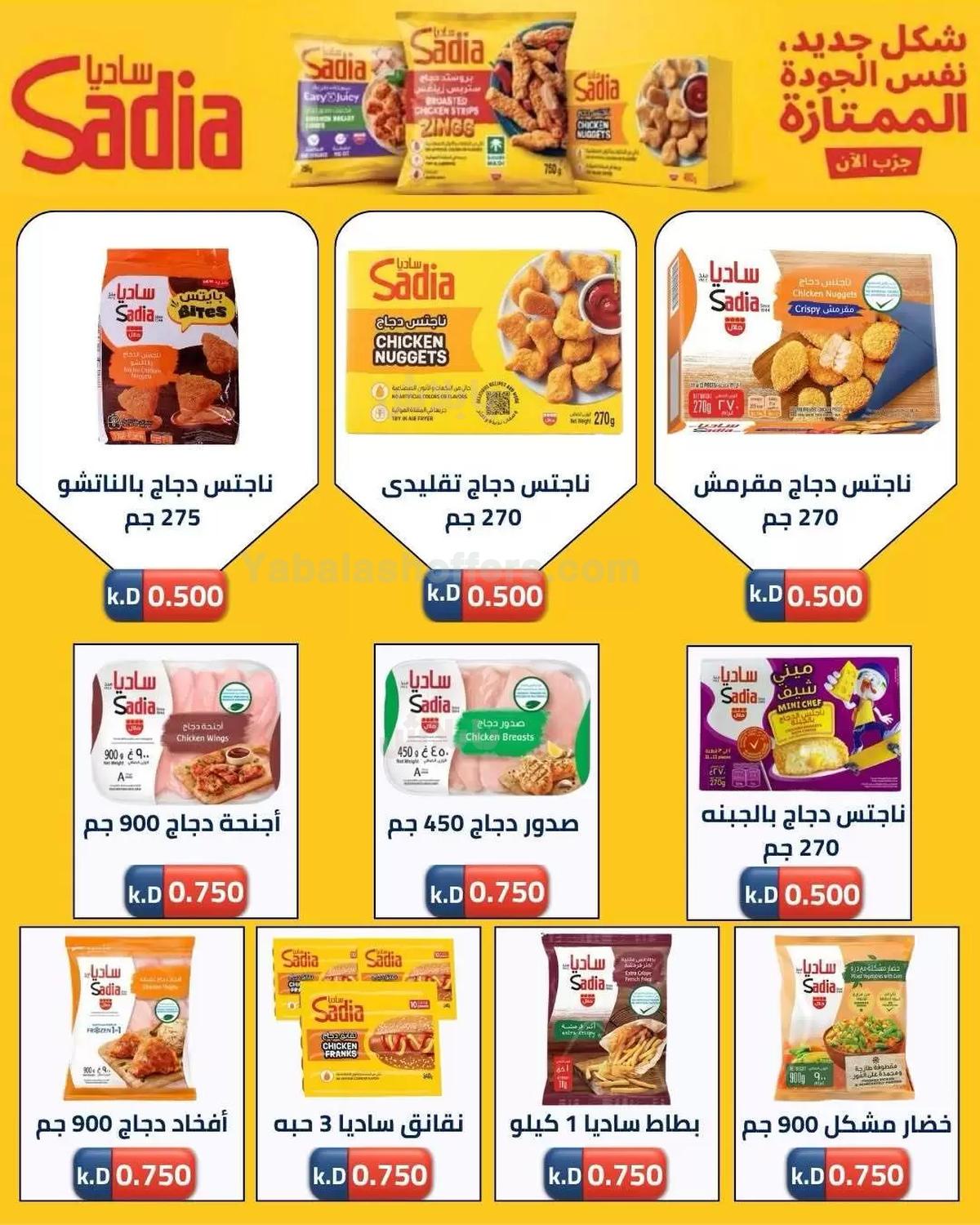 صفحة 3