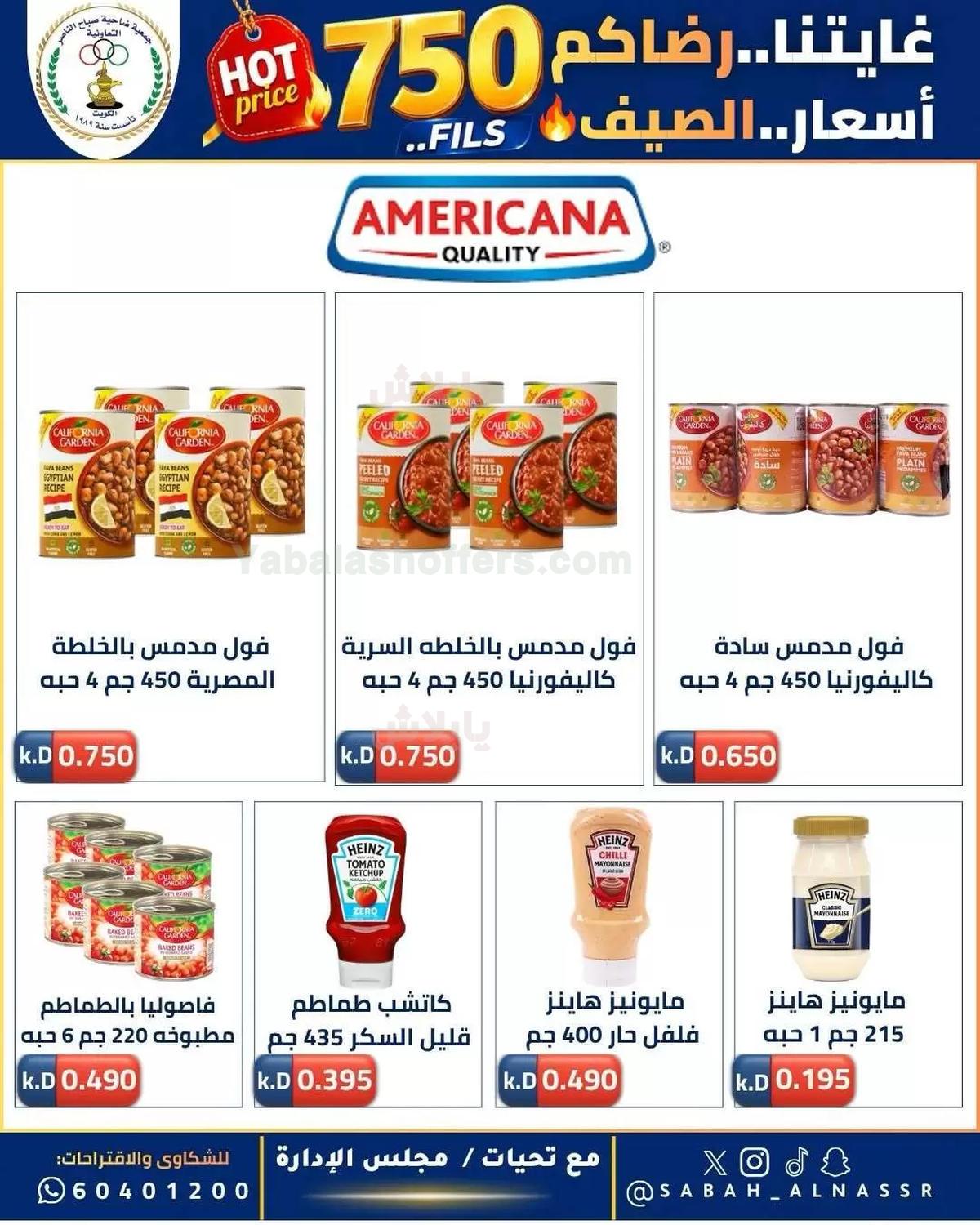 صفحة 19