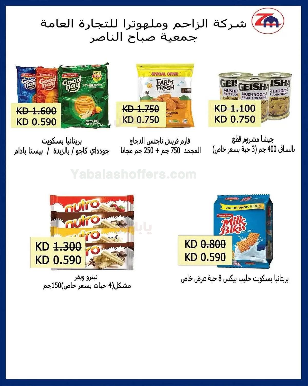 صفحة 24