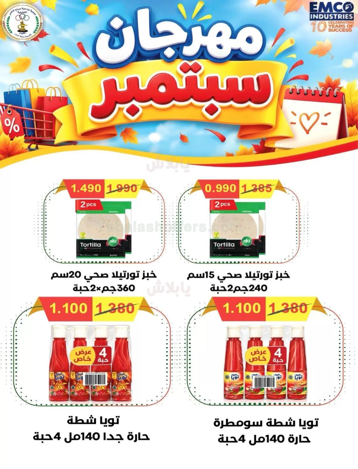 صفحة 11