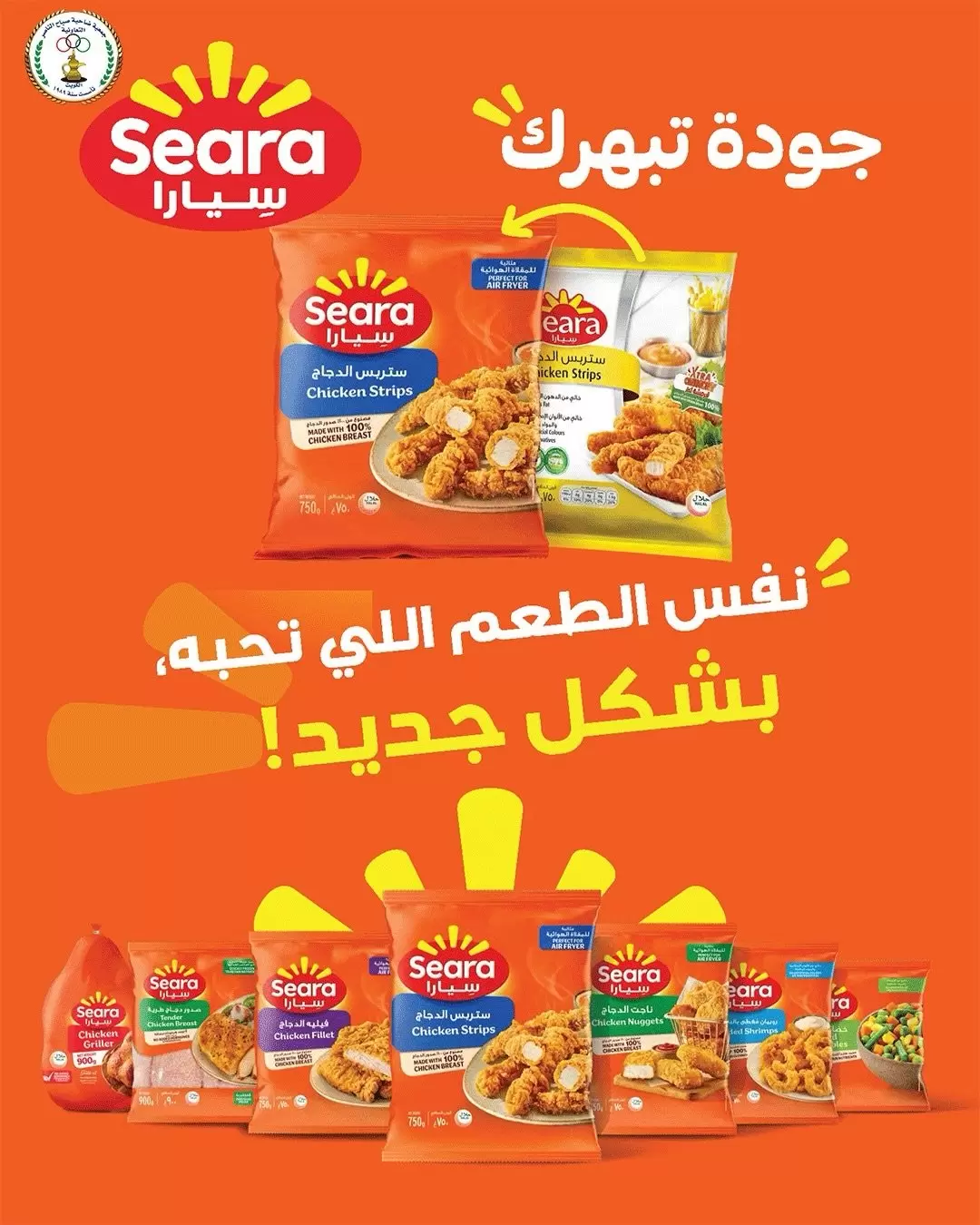 صفحة 4