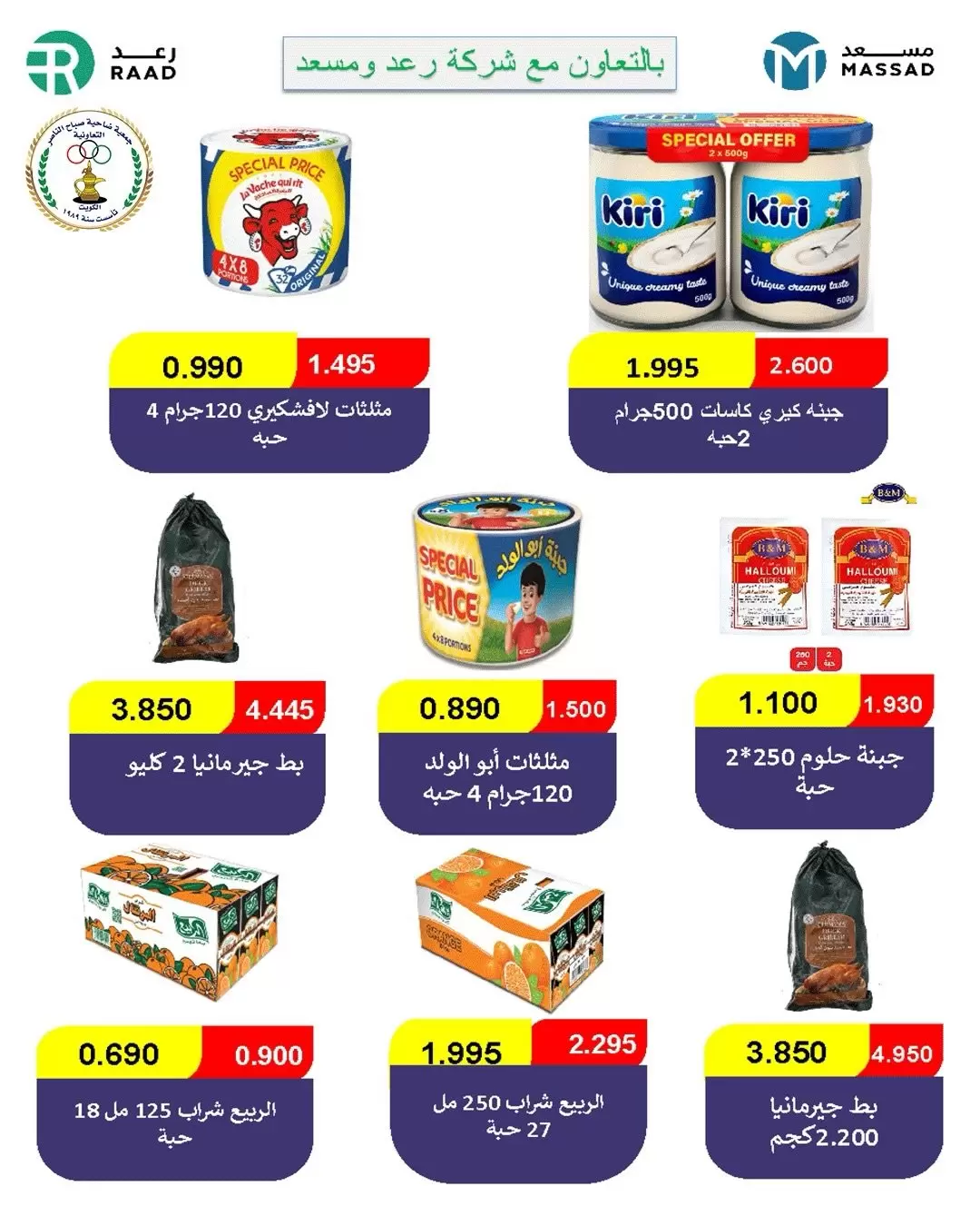 صفحة 13