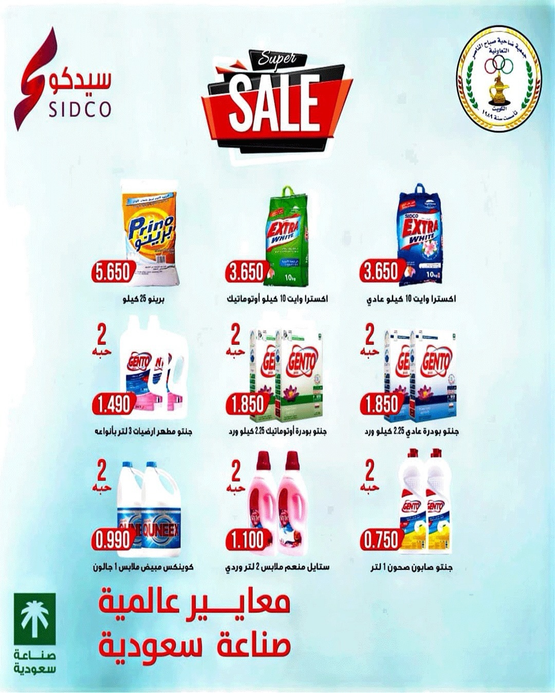 صفحة 13