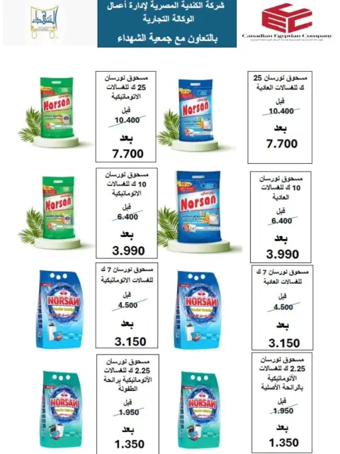 صفحة 17